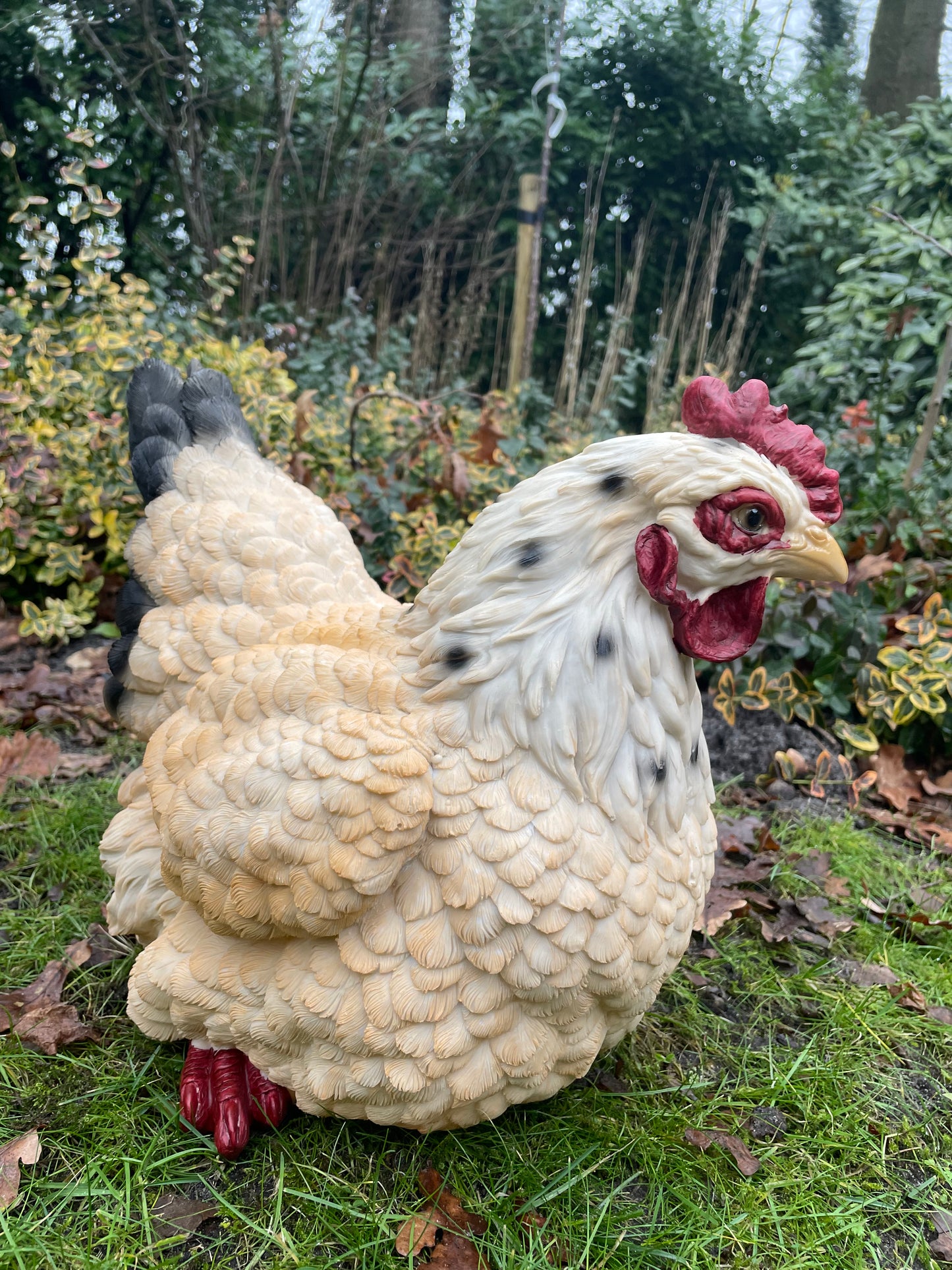 Beeld kip, wit tuin, vijver, gazon, boerderij 35cm