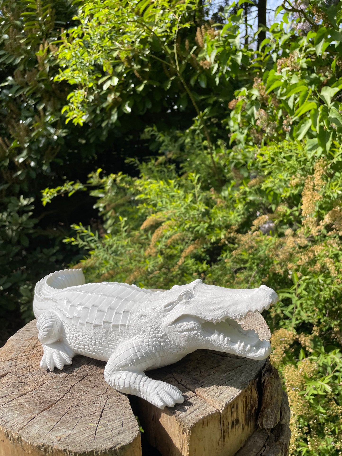 Beeld krokodil tuin, gazon, dierentuin, boerderij 45cm