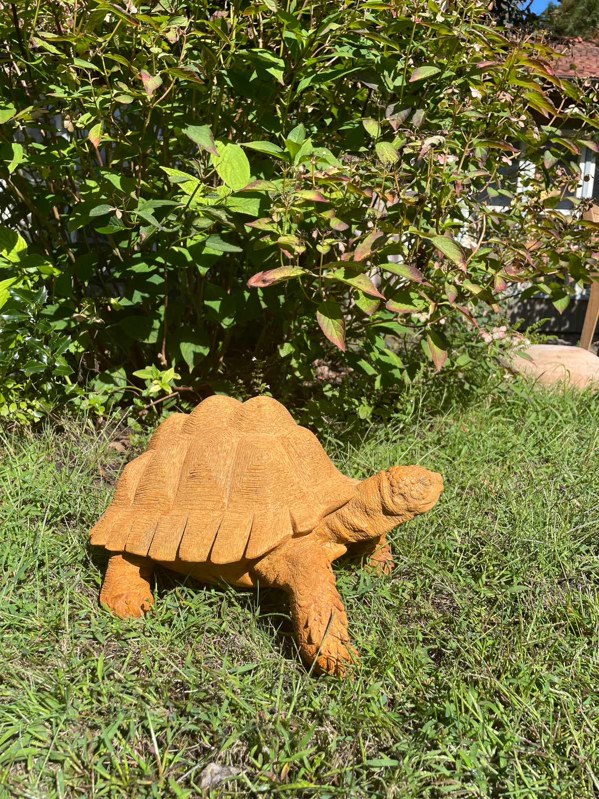 schildpad Roest 40cm