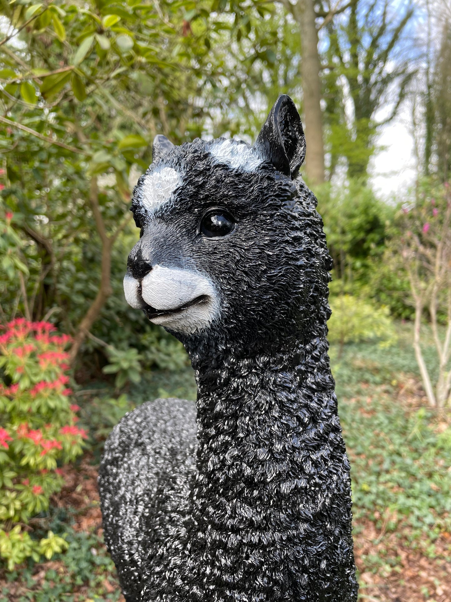 (Tuin)Beeld alpaca, lama, zwart, tuin, gazon, manege, boerderij 55cm