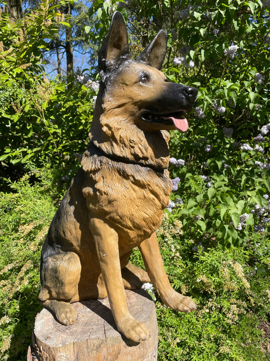 (Tuin)Beeld Duitse herder orig, honden, tuin, vijver 75 cm