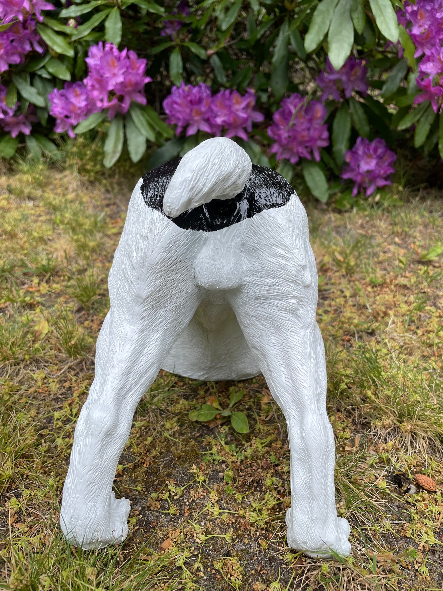 Beeld Jack Russel hond wit/zwart tuin, gazon, boerderij 30cm