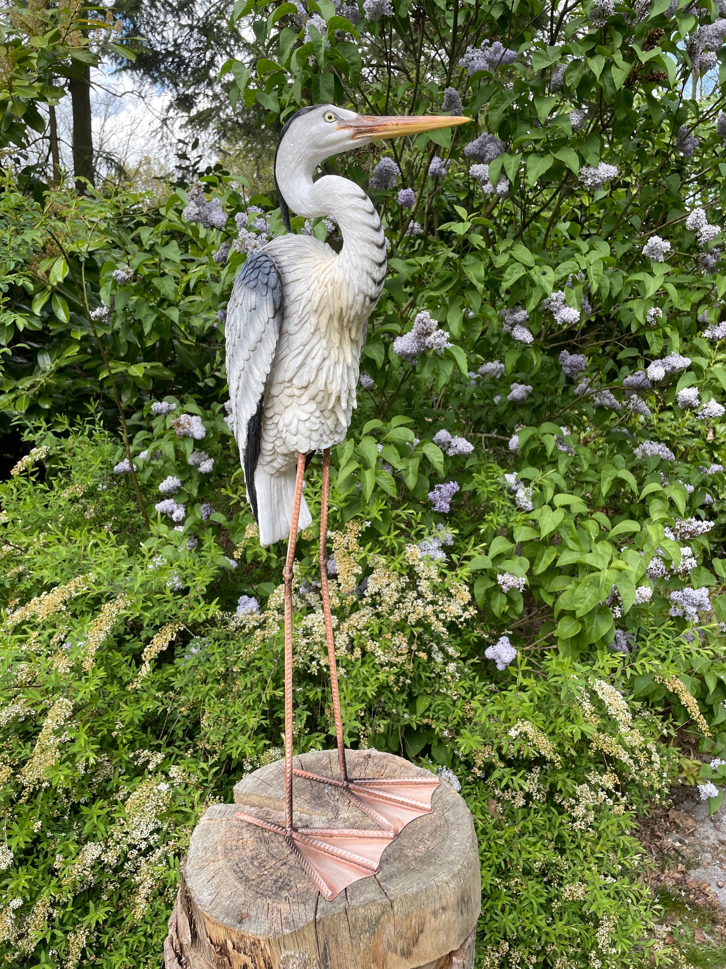 Beeld Reiger, gazon, tuin, vijver, dierentuin 80cm