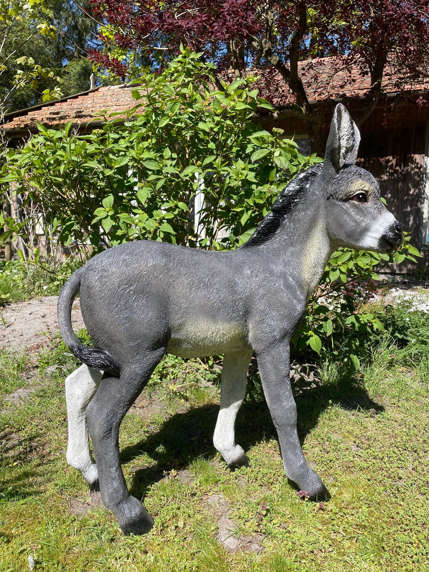 Ezel grijs, tuin, boerderij, vijver, dierentuin 100cm