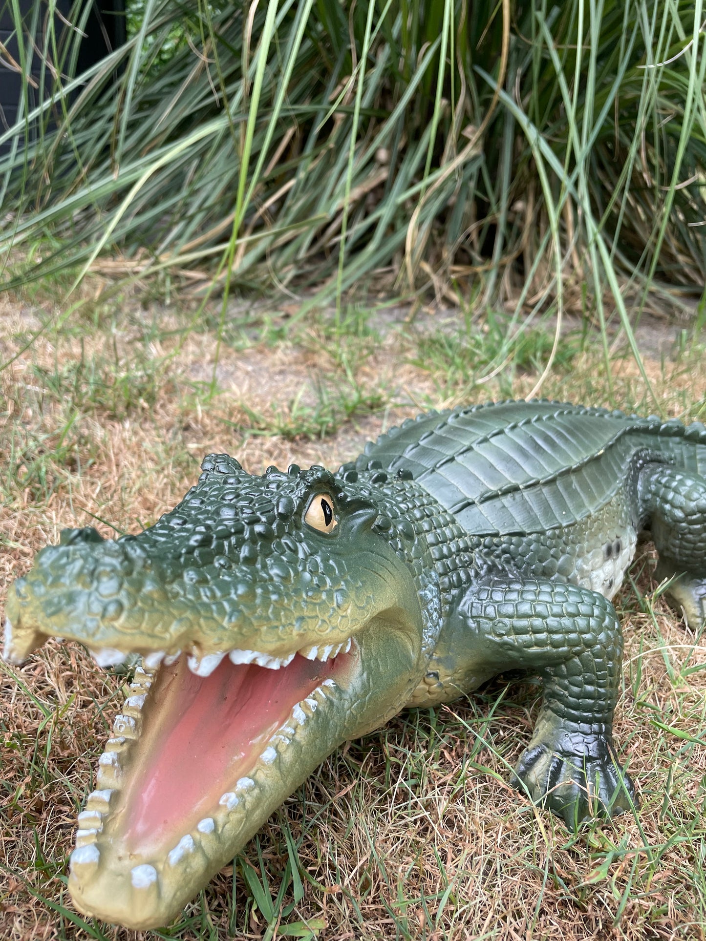 Beeld krokodil tuin, gazon, dierentuin, boerderij 60cm