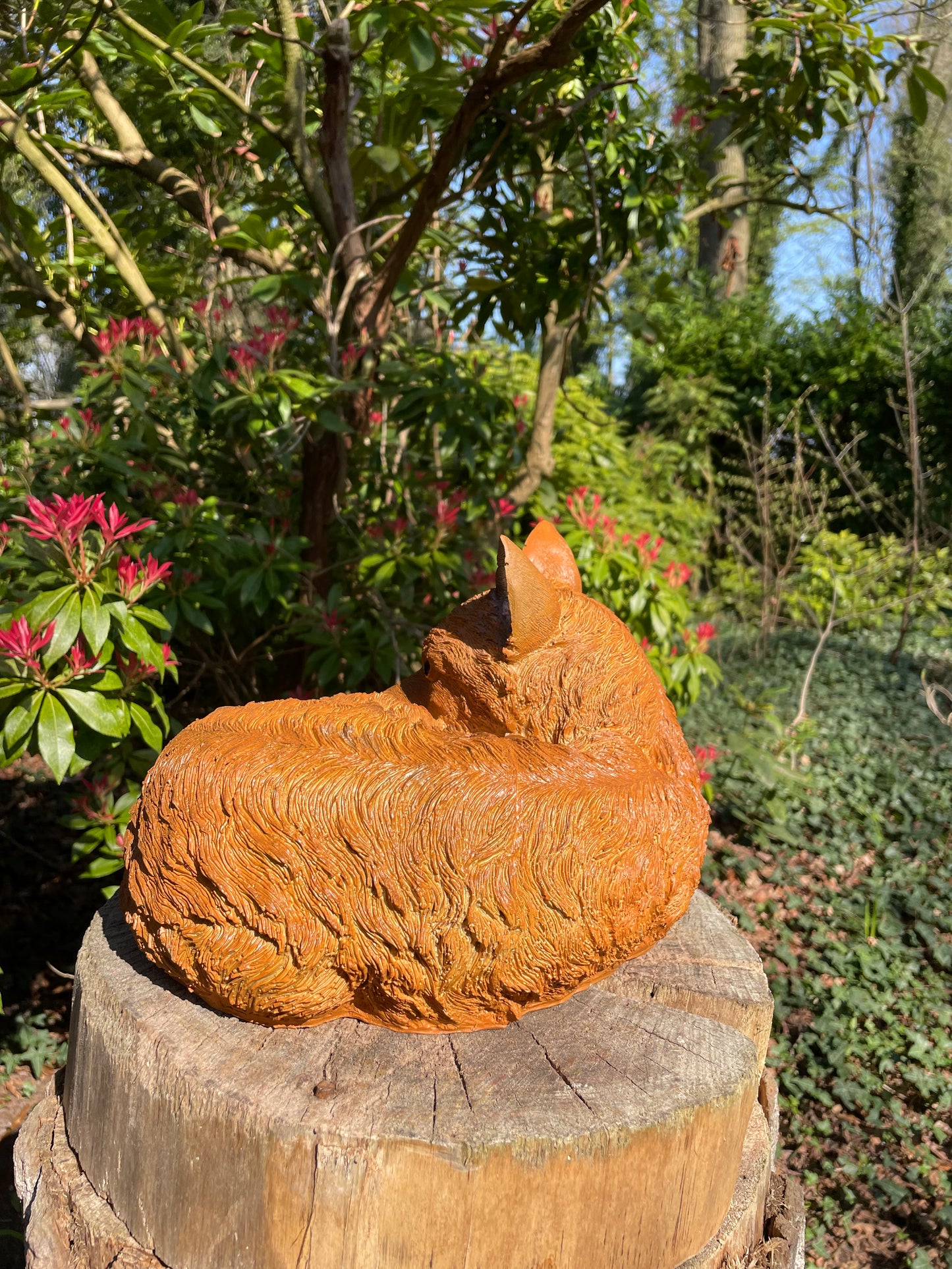 Beeld vos, tuin, vijver, gazon, boerderij 35cm
