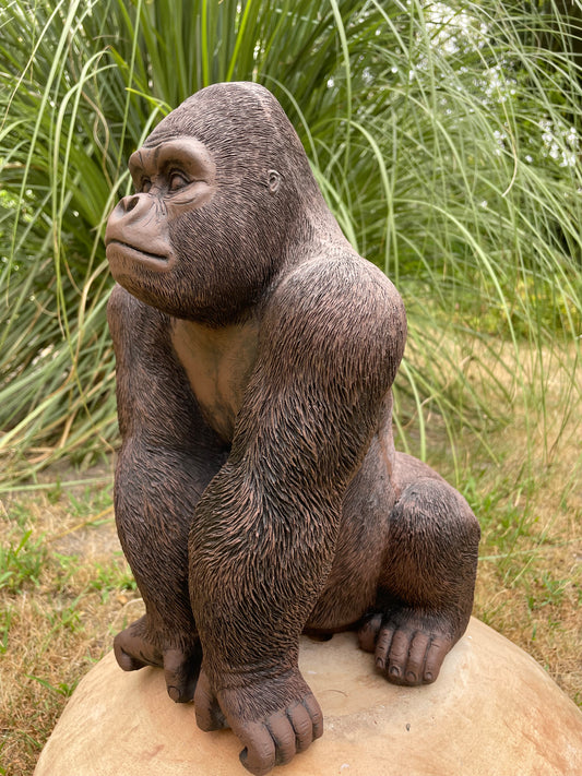 (Tuin)Beeld gorilla, bruin tuin, zwembad, vijver 40cm