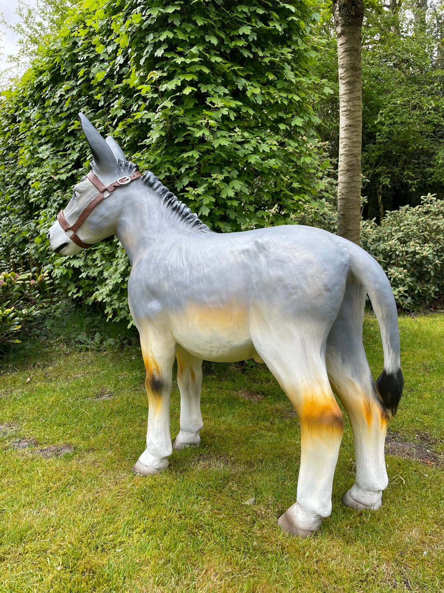Beeld Ezel grijs tuin, vijver, boerderij, dierentuin 100cm