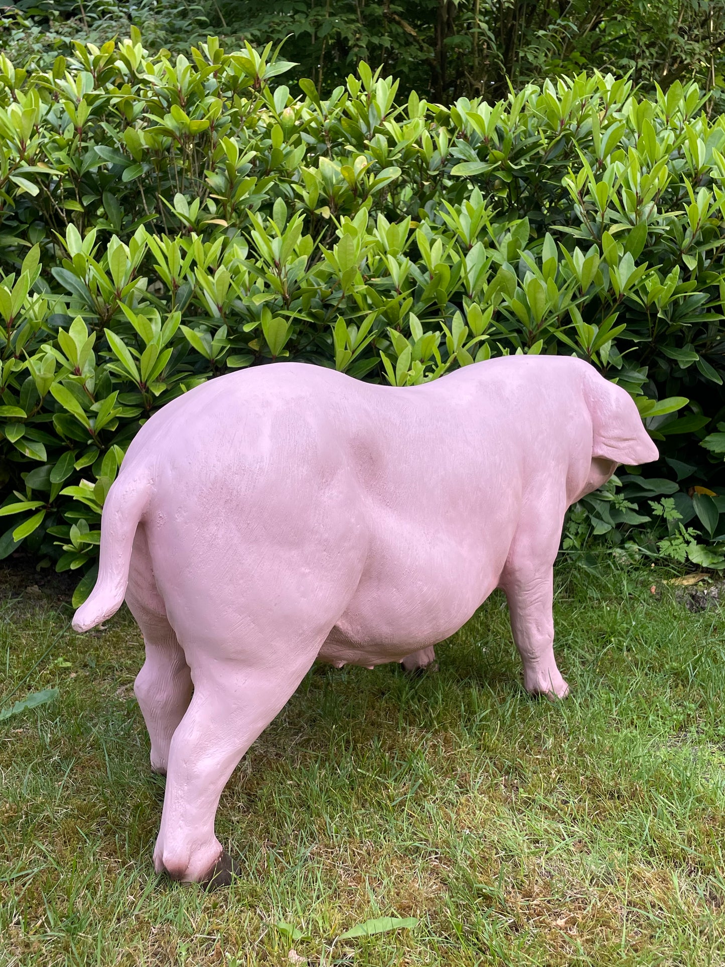 Varken, roze, tuin, gazon, manege, boerderij 100cm