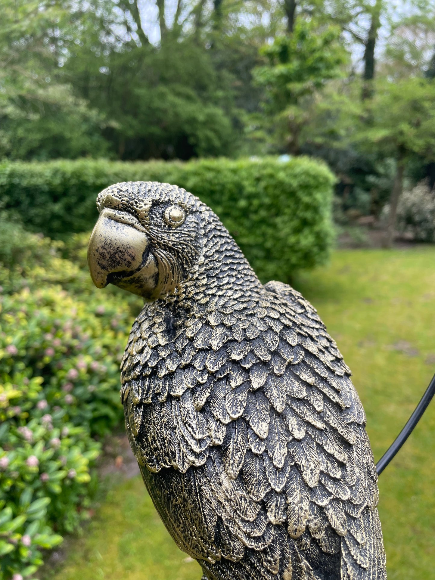 Beeld papegaai Goud tuin, zwembad, vijver, balkon 35cm