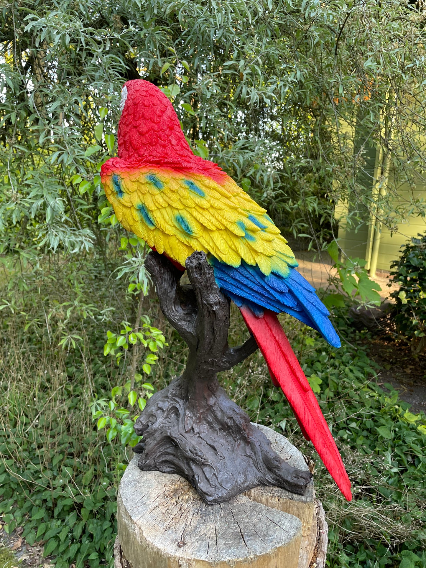 Beeld papegaai Rood boomstronk tuin, vijver, balkon 65cm
