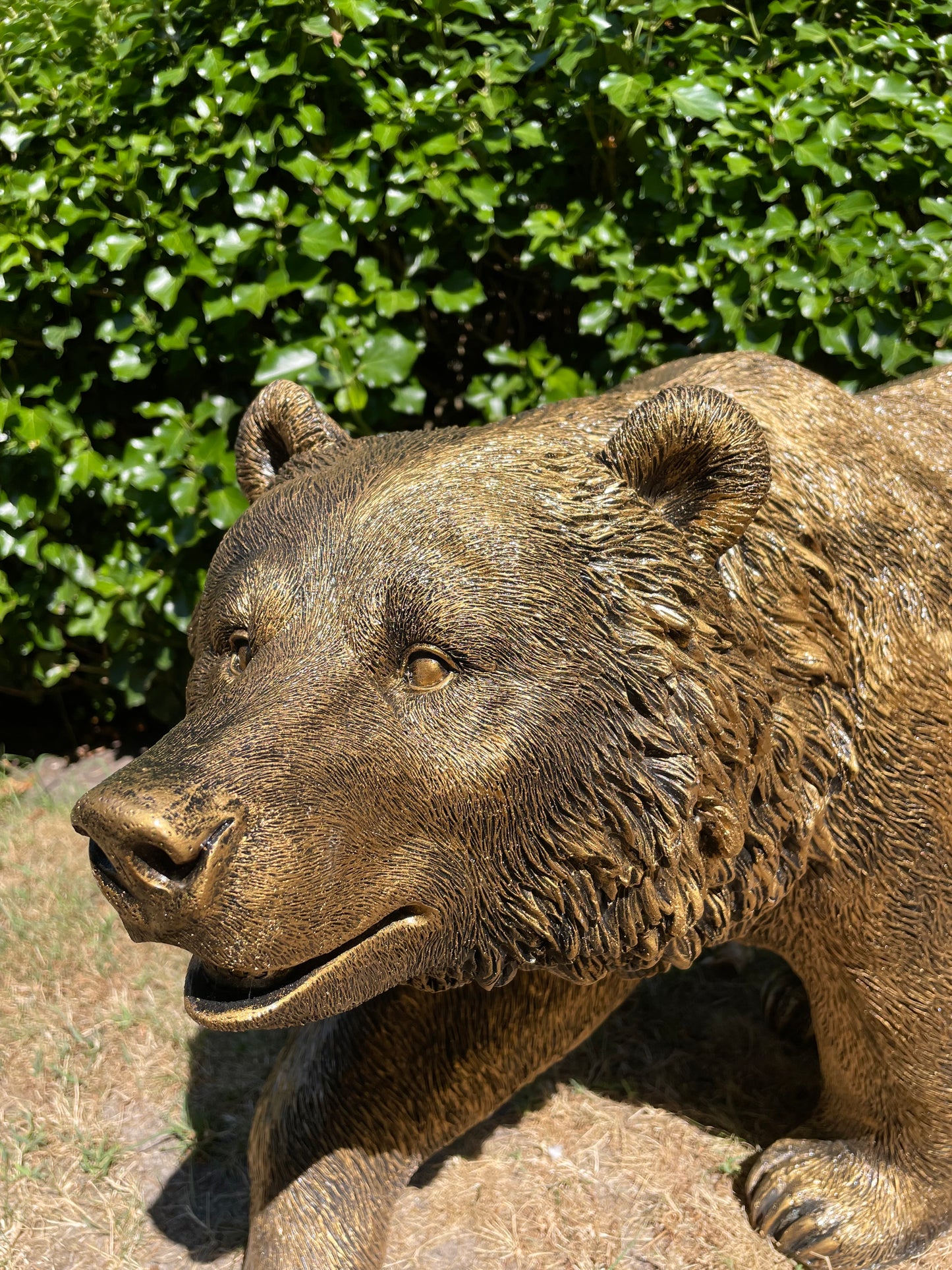Grizzlybeer lopend brons, vijver, gazon, dierentuin, 110cm
