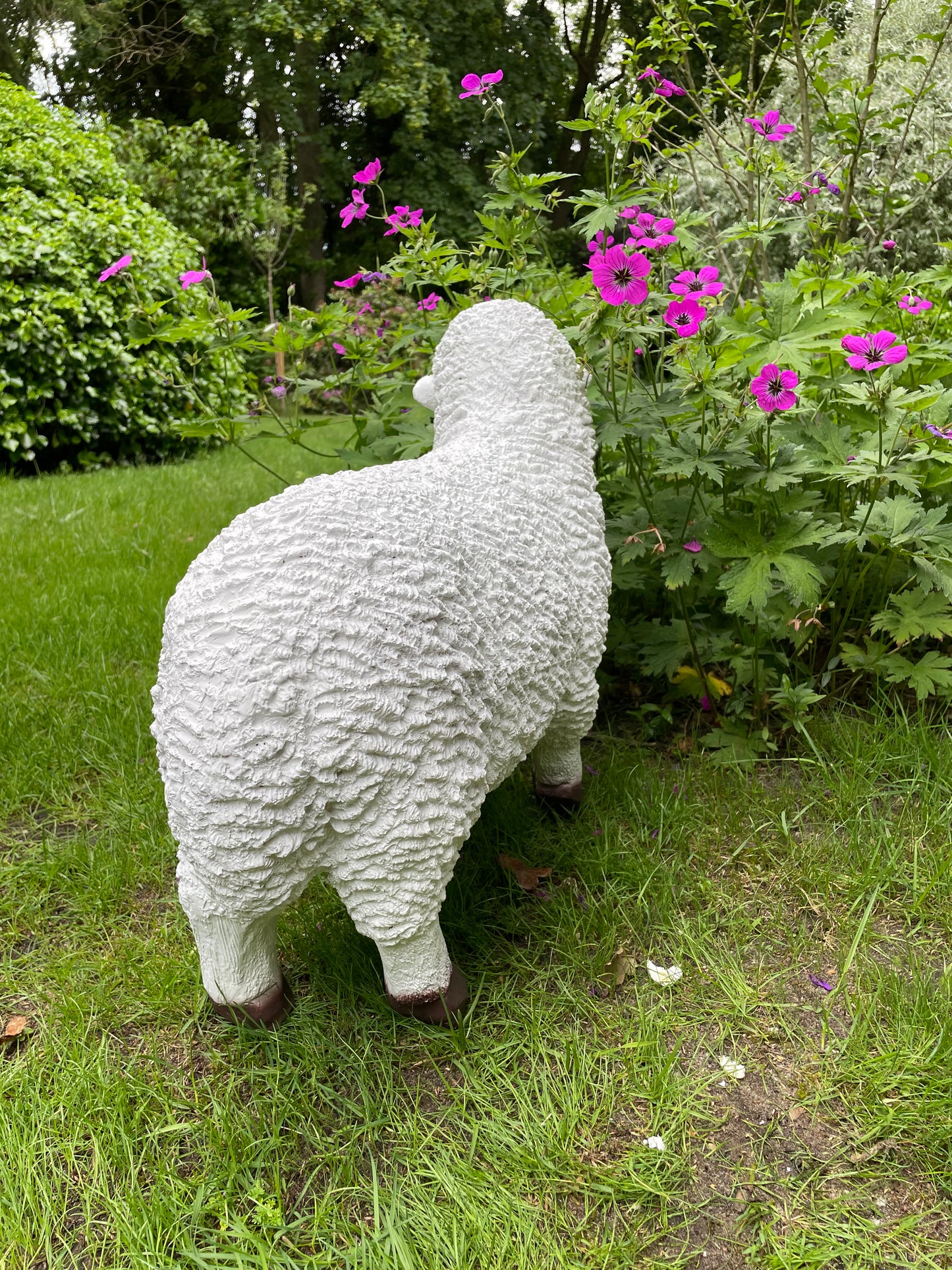 Set Merino wolschapen, gazon, tuin, boerderij 70-65cm