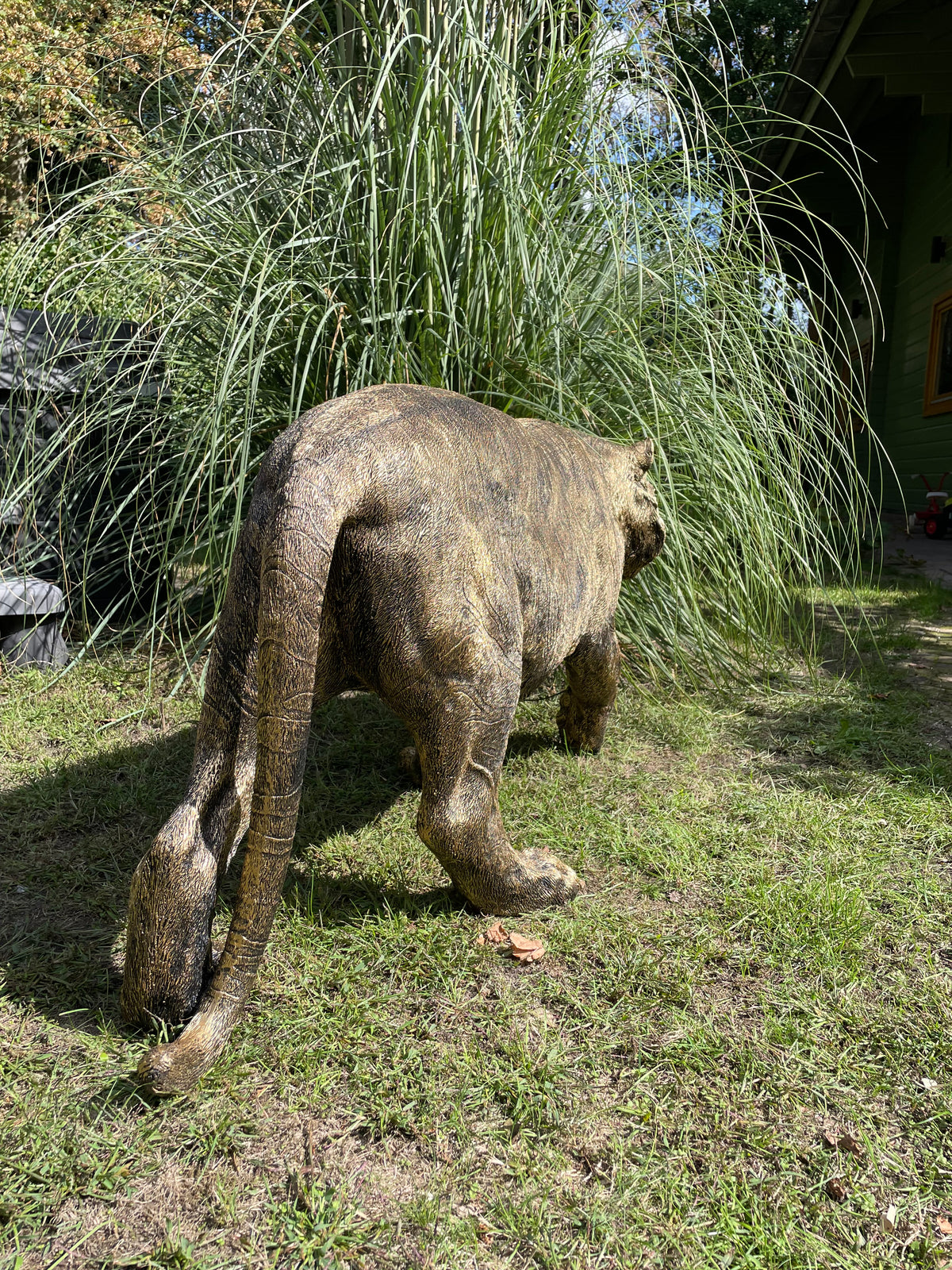 Tijger antiek goud gazon, tuin, dierentuin, 140cm