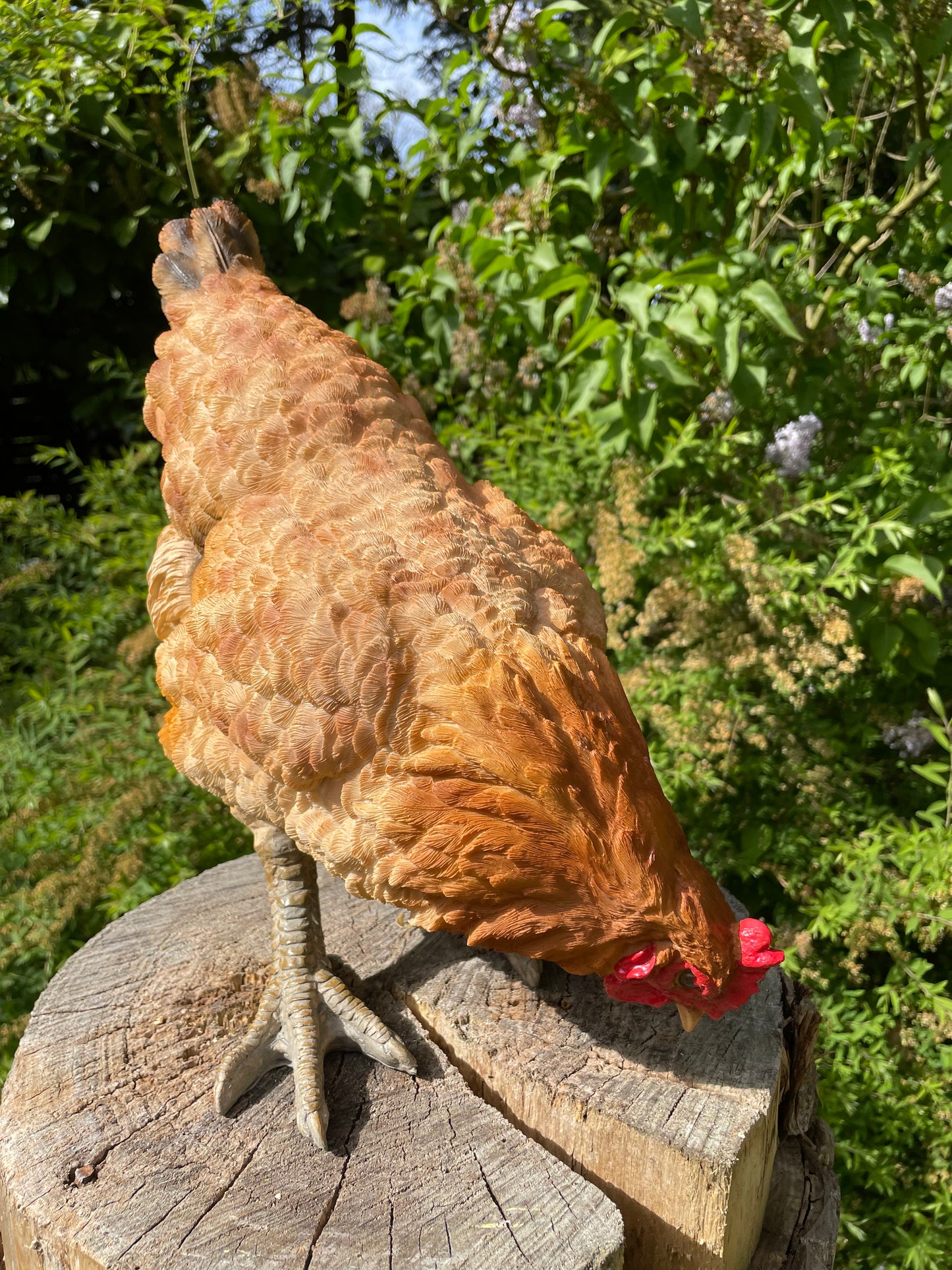 Beeld kip, pikkend, bruin, tuin, gazon, boerderij 35cm