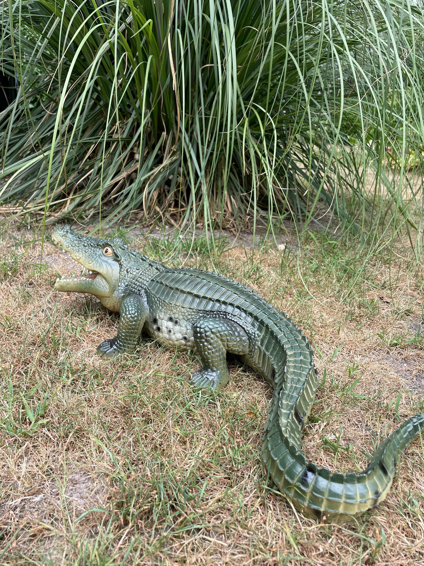 Beeld krokodil tuin, gazon, dierentuin, boerderij 60cm