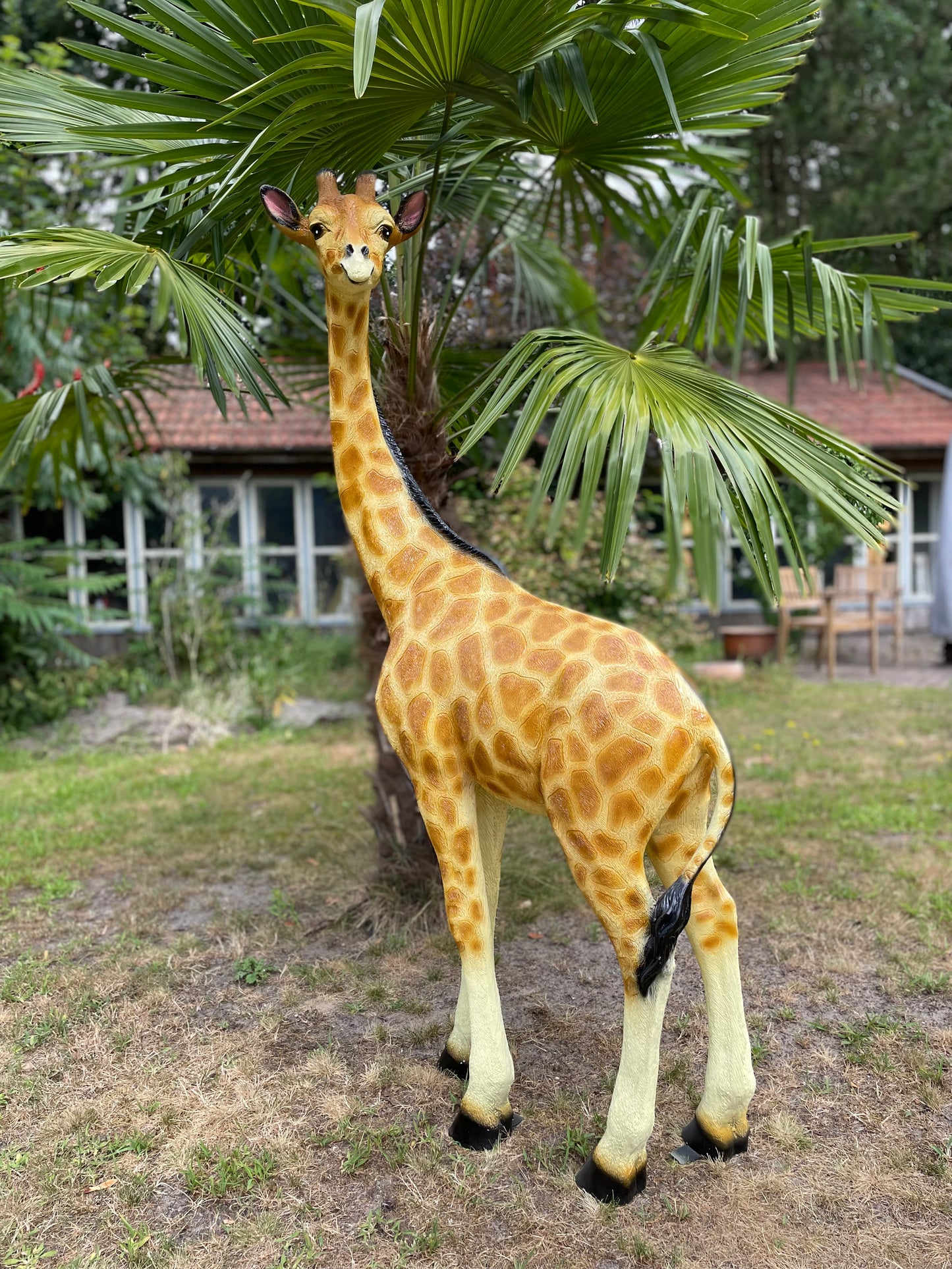 Grote Giraffe Tuinbeeld – Realistisch Dierenbeeld voor Babykamer of Buiten 150cm