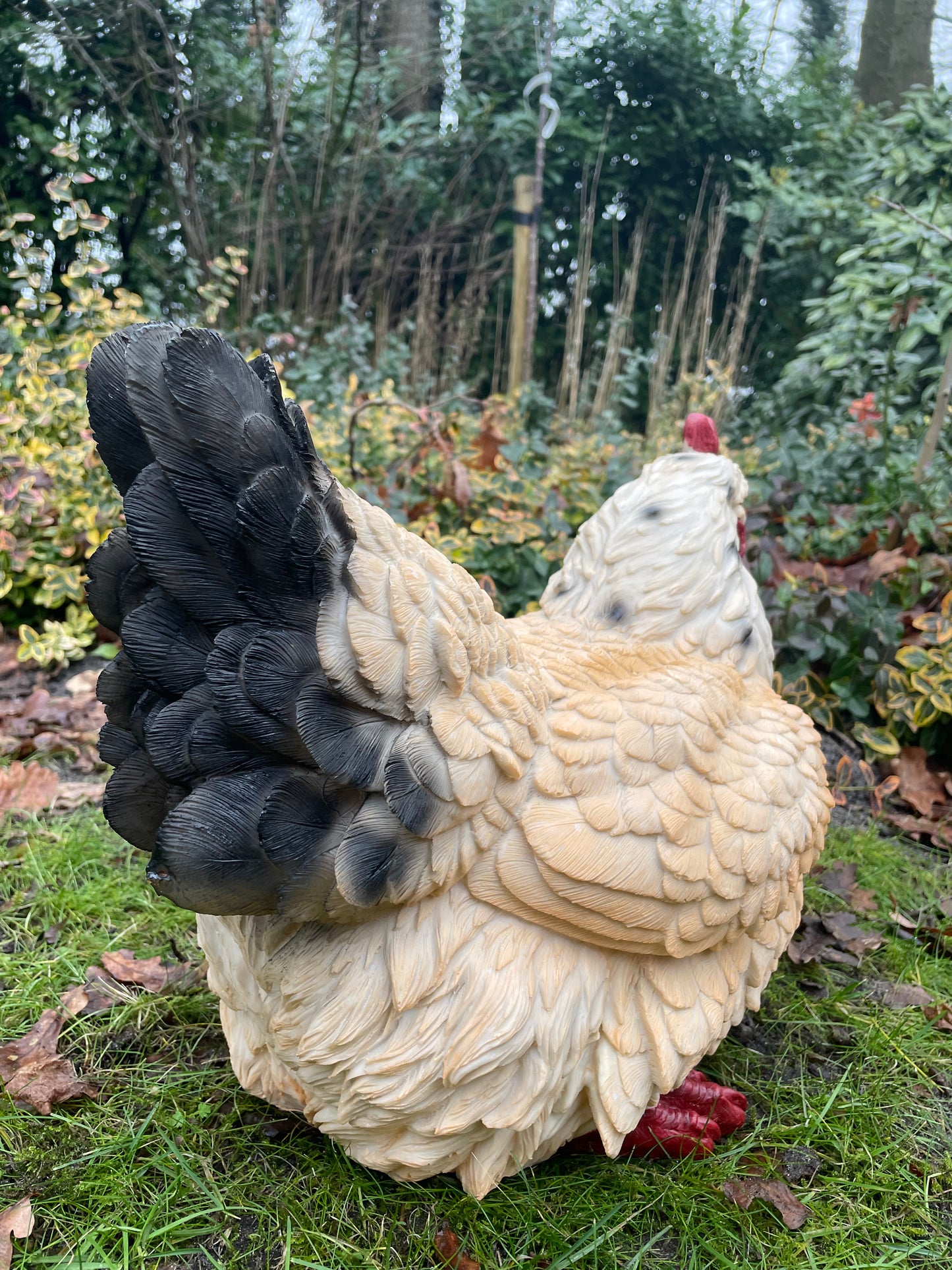 Beeld kip, wit tuin, vijver, gazon, boerderij 35cm