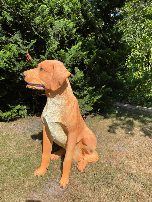 Beeld hond labrador, Golden Retriever donker goud 80cm
