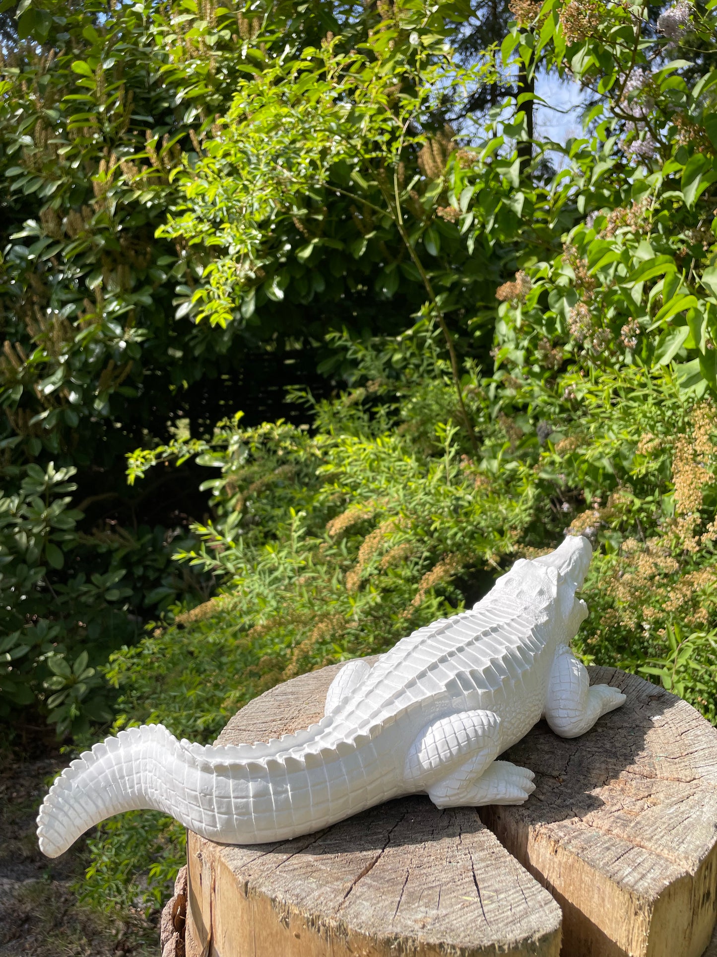 Beeld krokodil tuin, gazon, dierentuin, boerderij 45cm