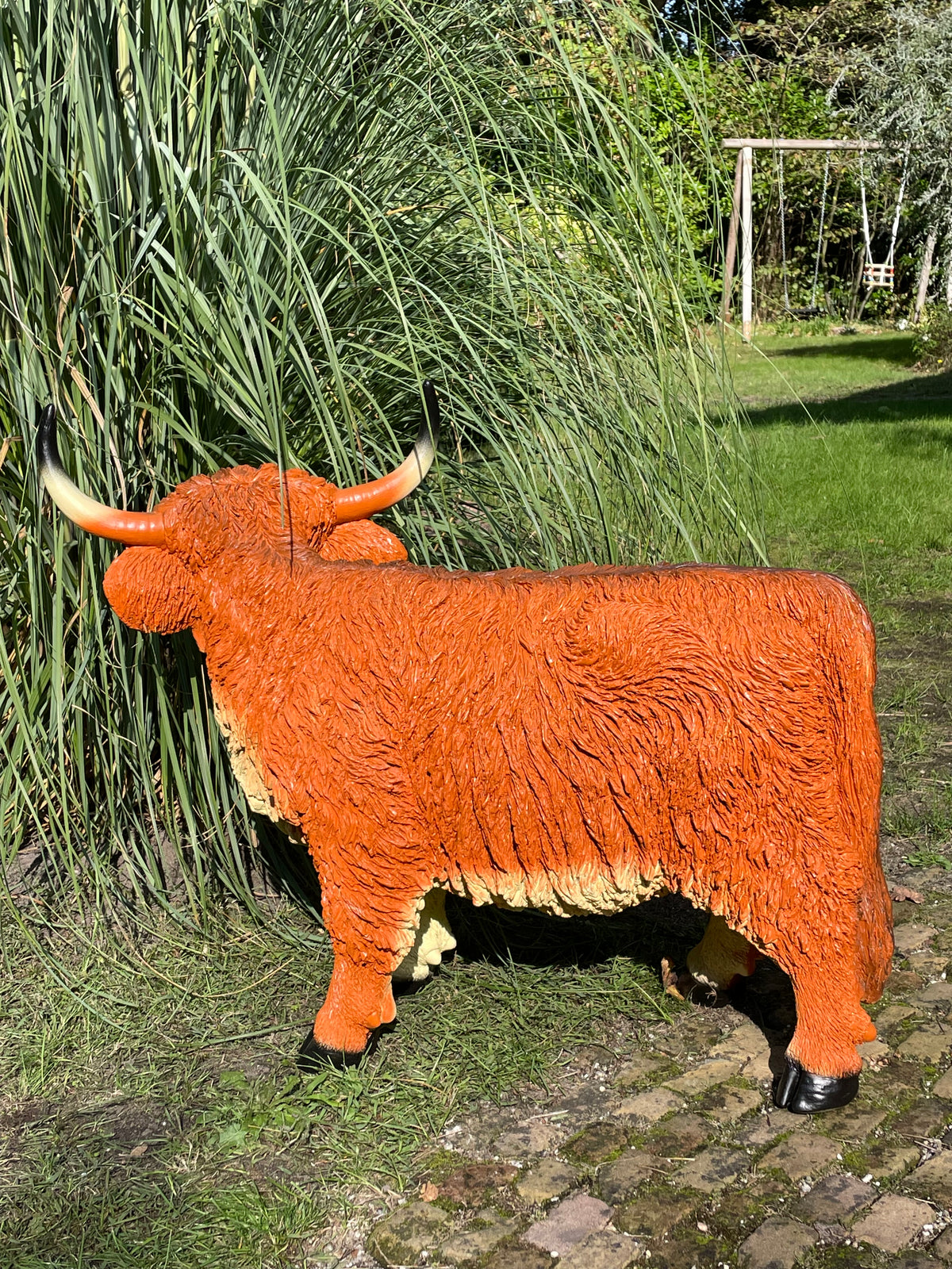 Schotse Hooglander, Rosse koe, tuin, boerderij, 100cm