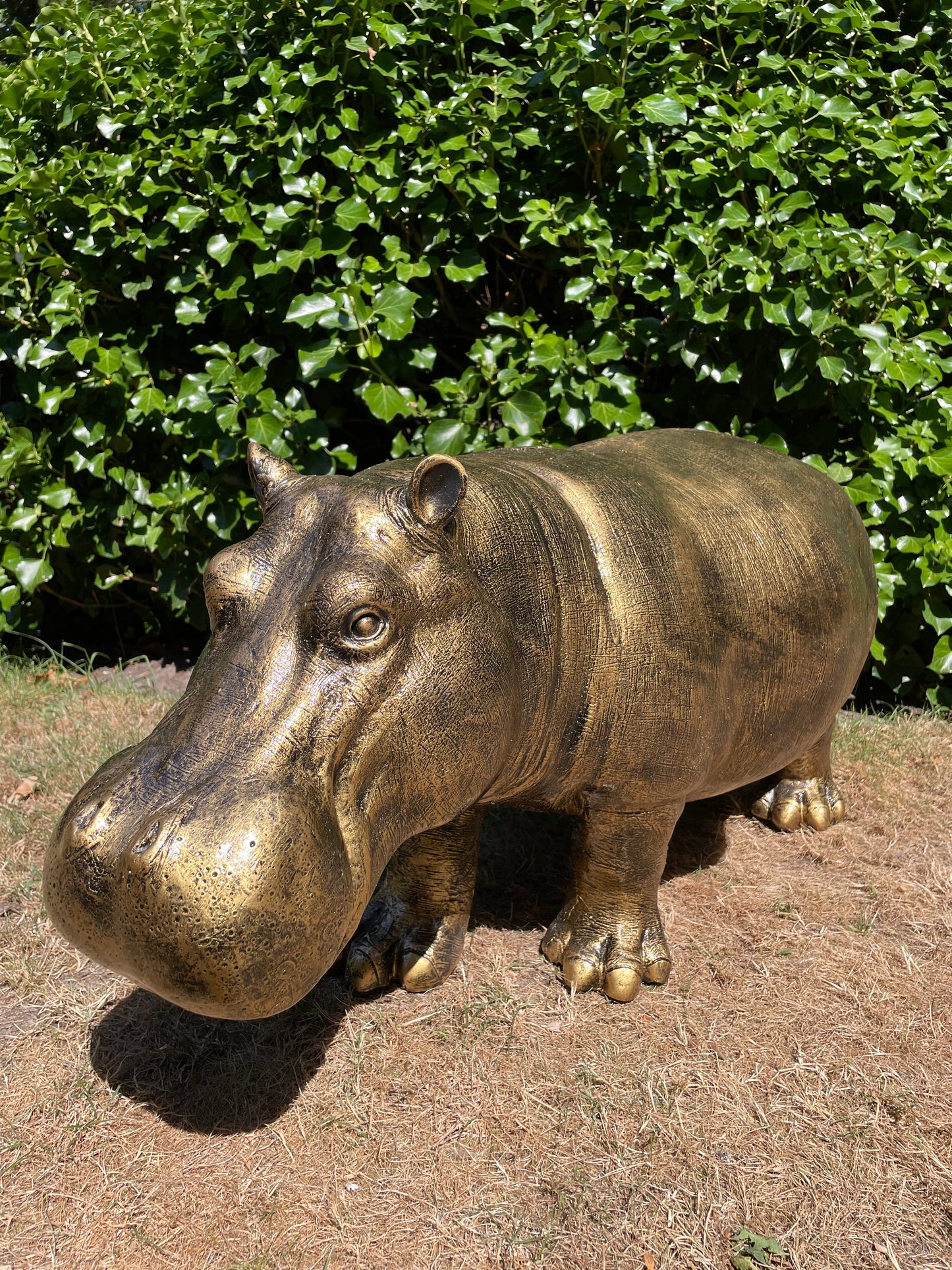 Beeld Nijlpaard, hippo, vijver, tuin 90 cm