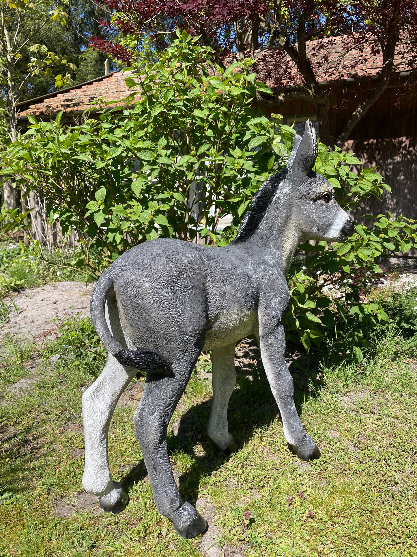 Ezel grijs, tuin, boerderij, vijver, dierentuin 100cm