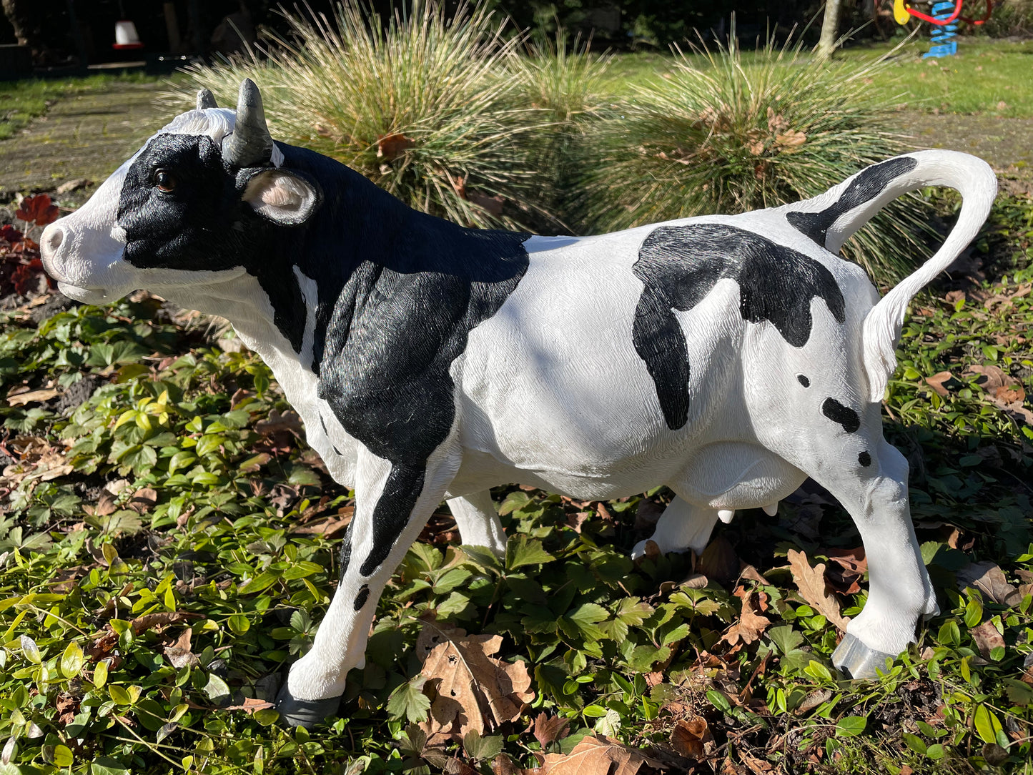 Kalf, koe, boerderij, gazon, tuin, boerderij, 50 cm