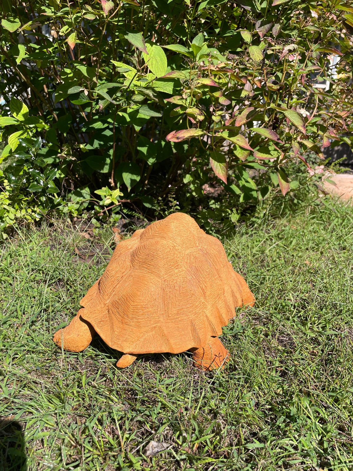 schildpad Roest 40cm