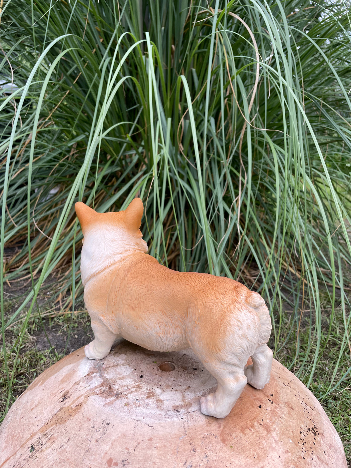Welsh Corgi hond 30cm