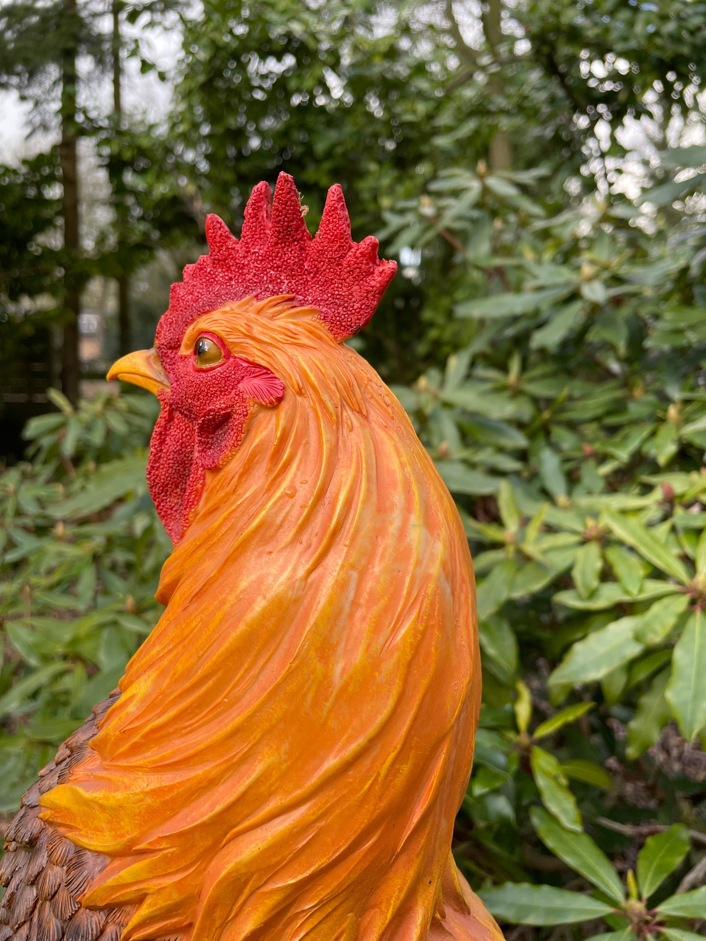 Beeld Haan, tuin, vijver, gazon, boerderij 35cm