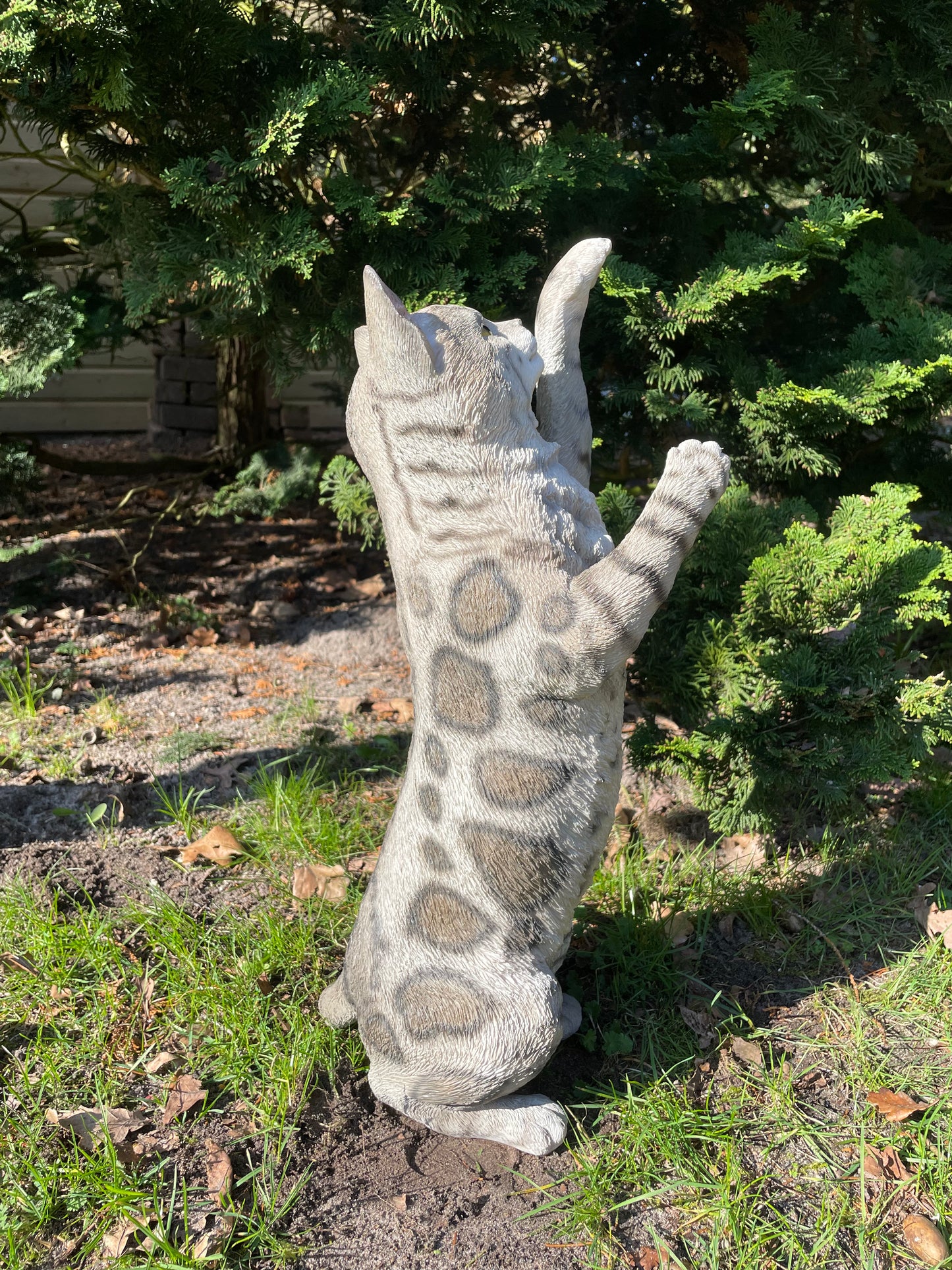 (Tuin)Beeld Poes, kat, tuin, gazon, kitten, boerderij 50cm