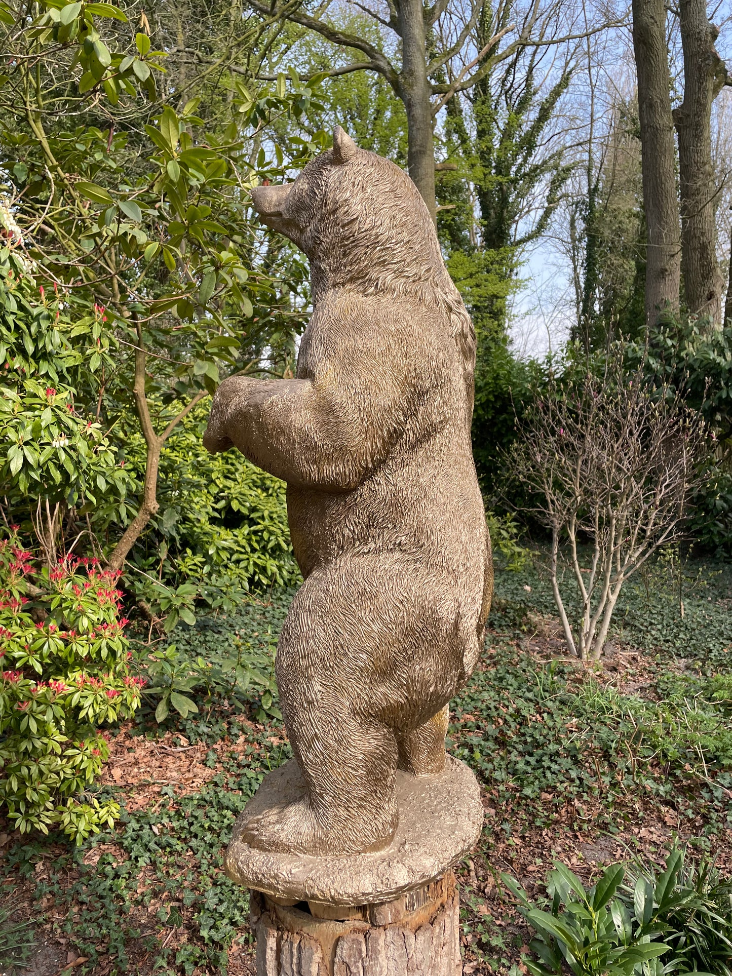 Beeld Beer, goud, tuin, gazon, manege, 120cm