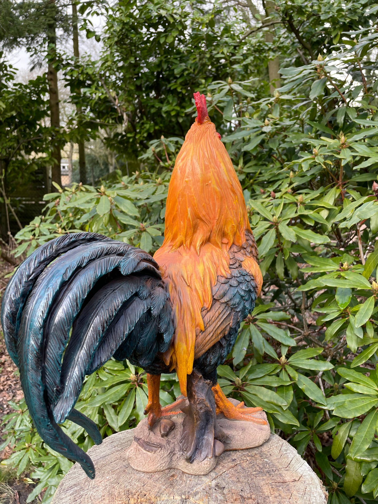 Beeld Haan, tuin, vijver, gazon, boerderij 35cm