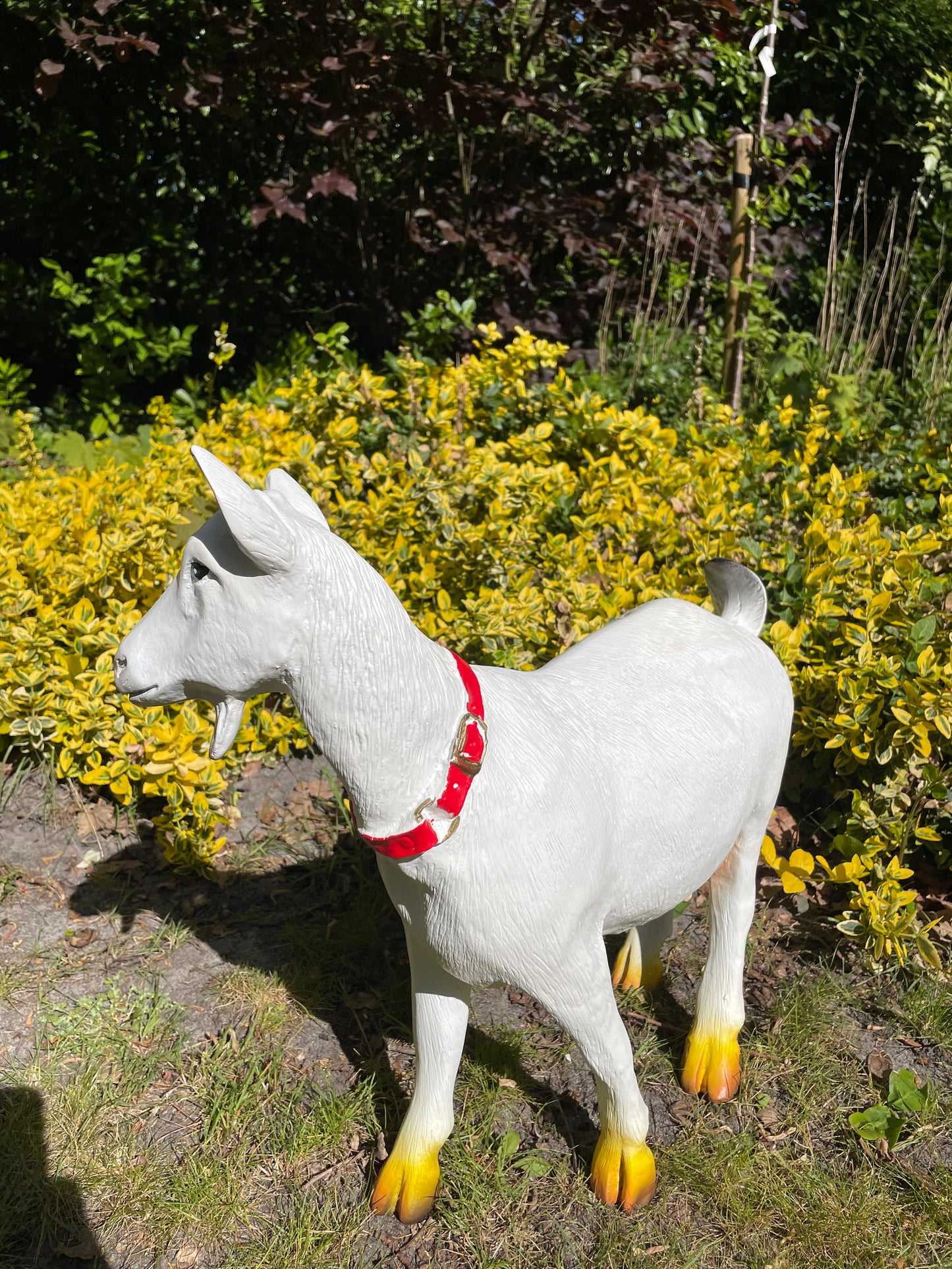 Beeld Geit rode halsband tuin, gazon, boerderij 55cm