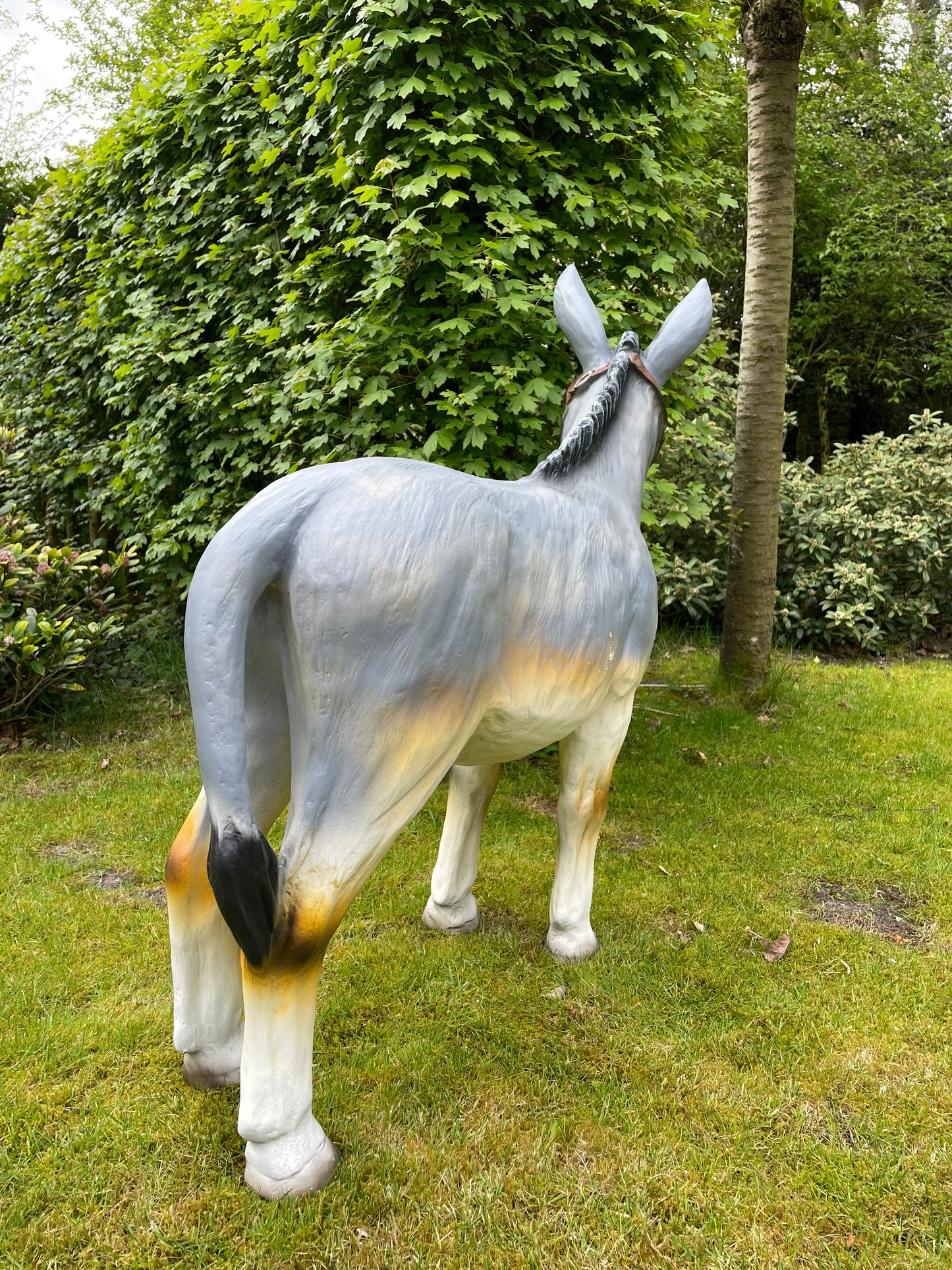 Beeld Ezel grijs tuin, vijver, boerderij, dierentuin 100cm