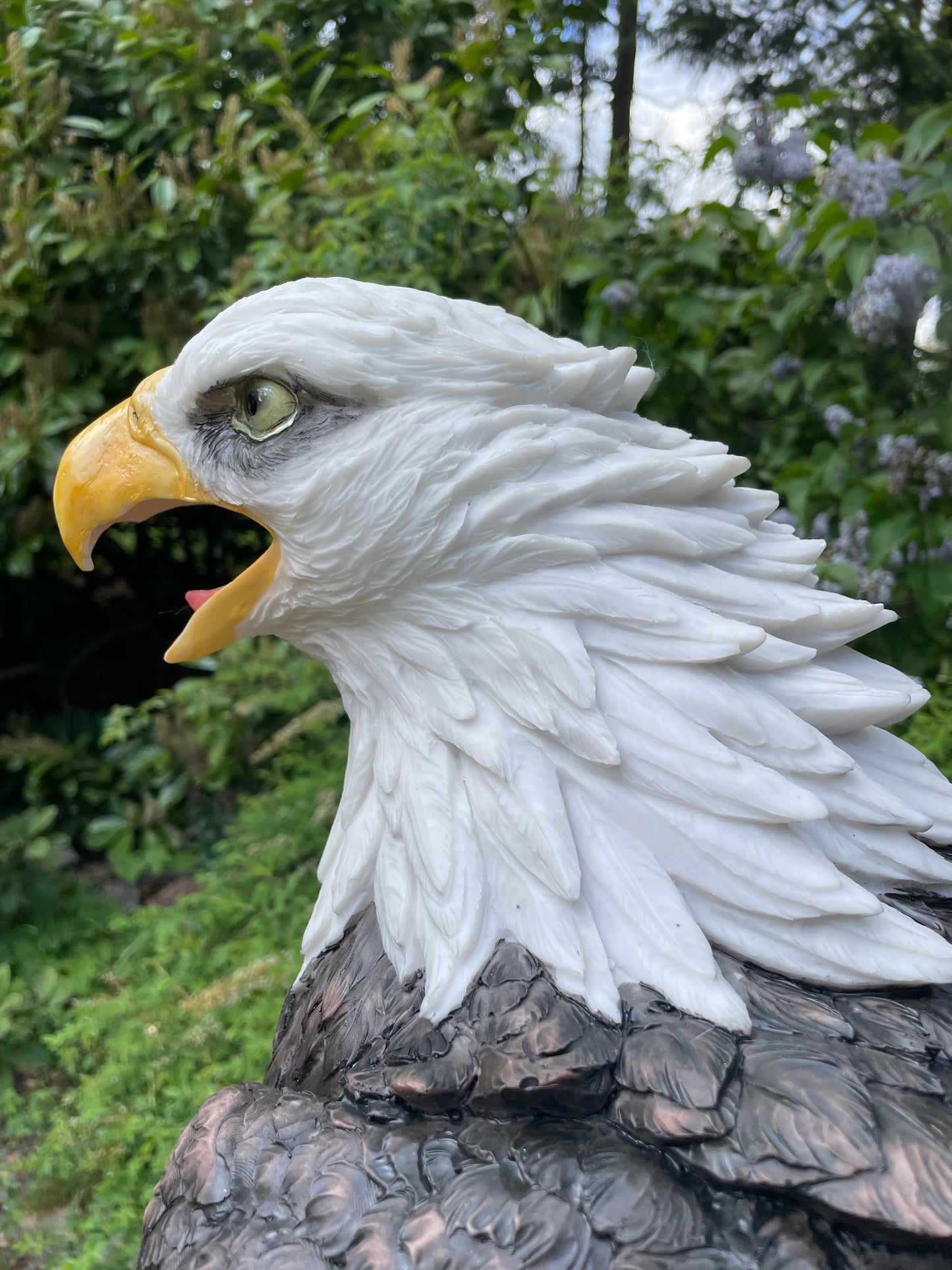 Beeld Arend groot, gazon, tuin, vijver, dierentuin 55cm