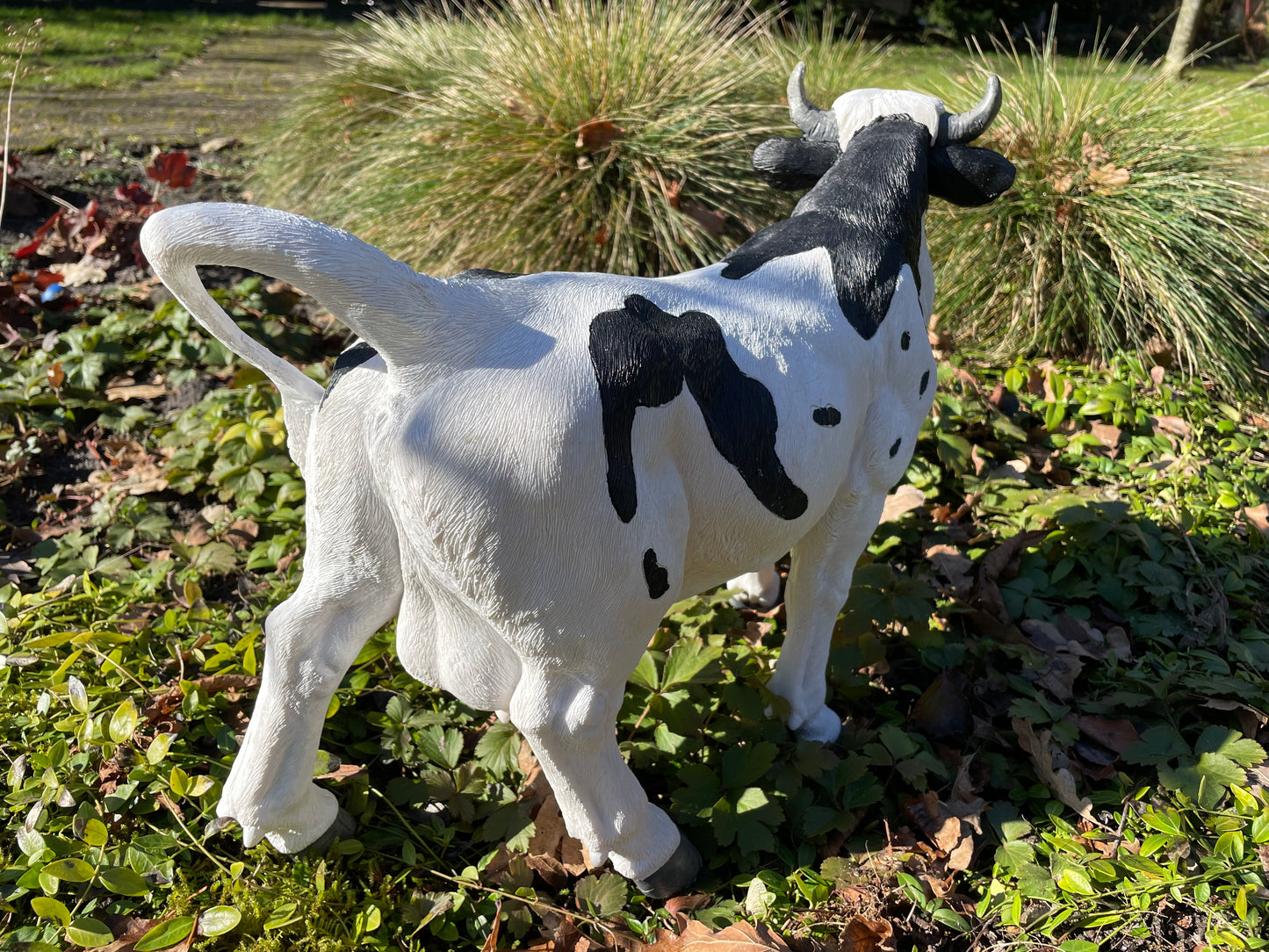 Kalf, koe, boerderij, gazon, tuin, boerderij, 50 cm