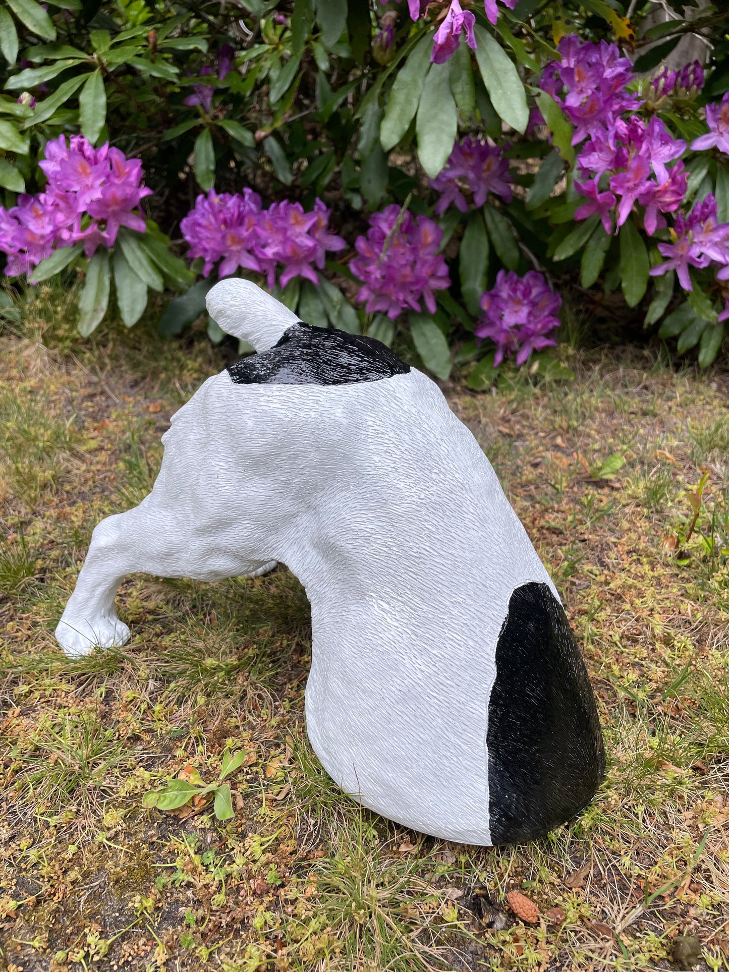 Beeld Jack Russel hond wit/zwart tuin, gazon, boerderij 30cm