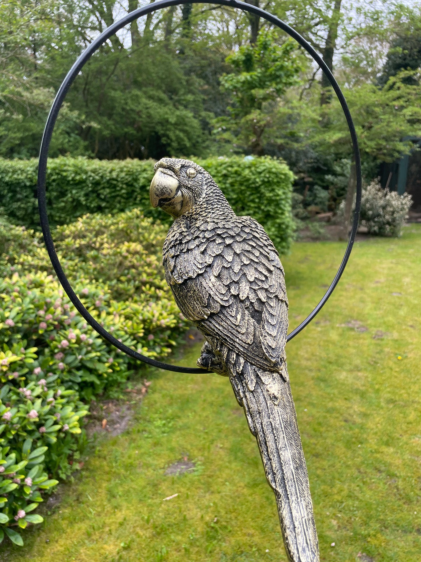 Beeld papegaai Goud tuin, zwembad, vijver, balkon 35cm