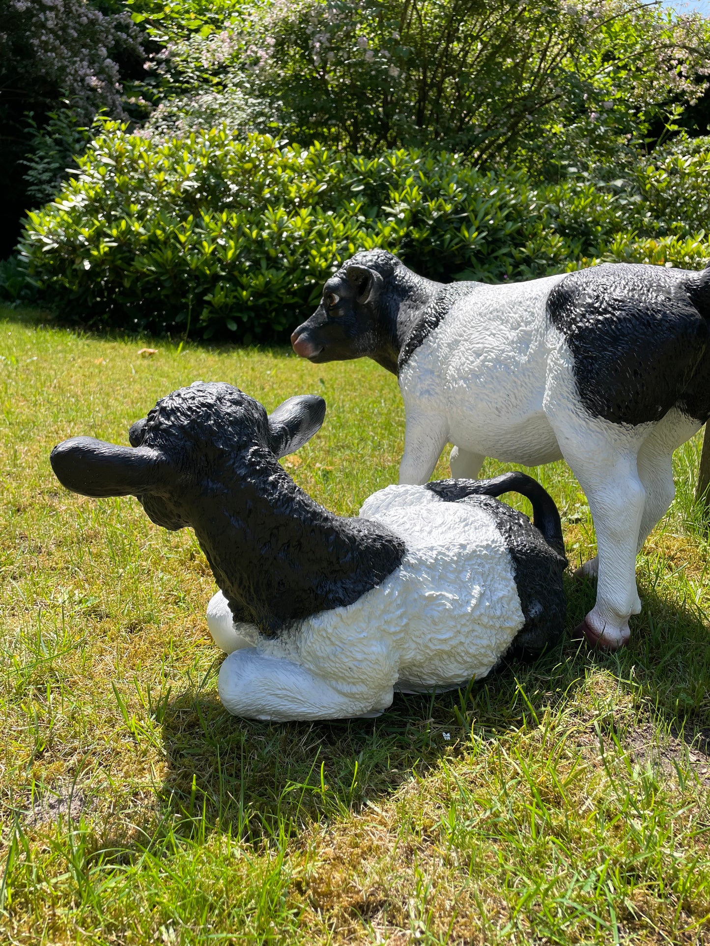 Beeld set kalf, Koe tuin, vijver, boerderij, dierentuin 70-55cm