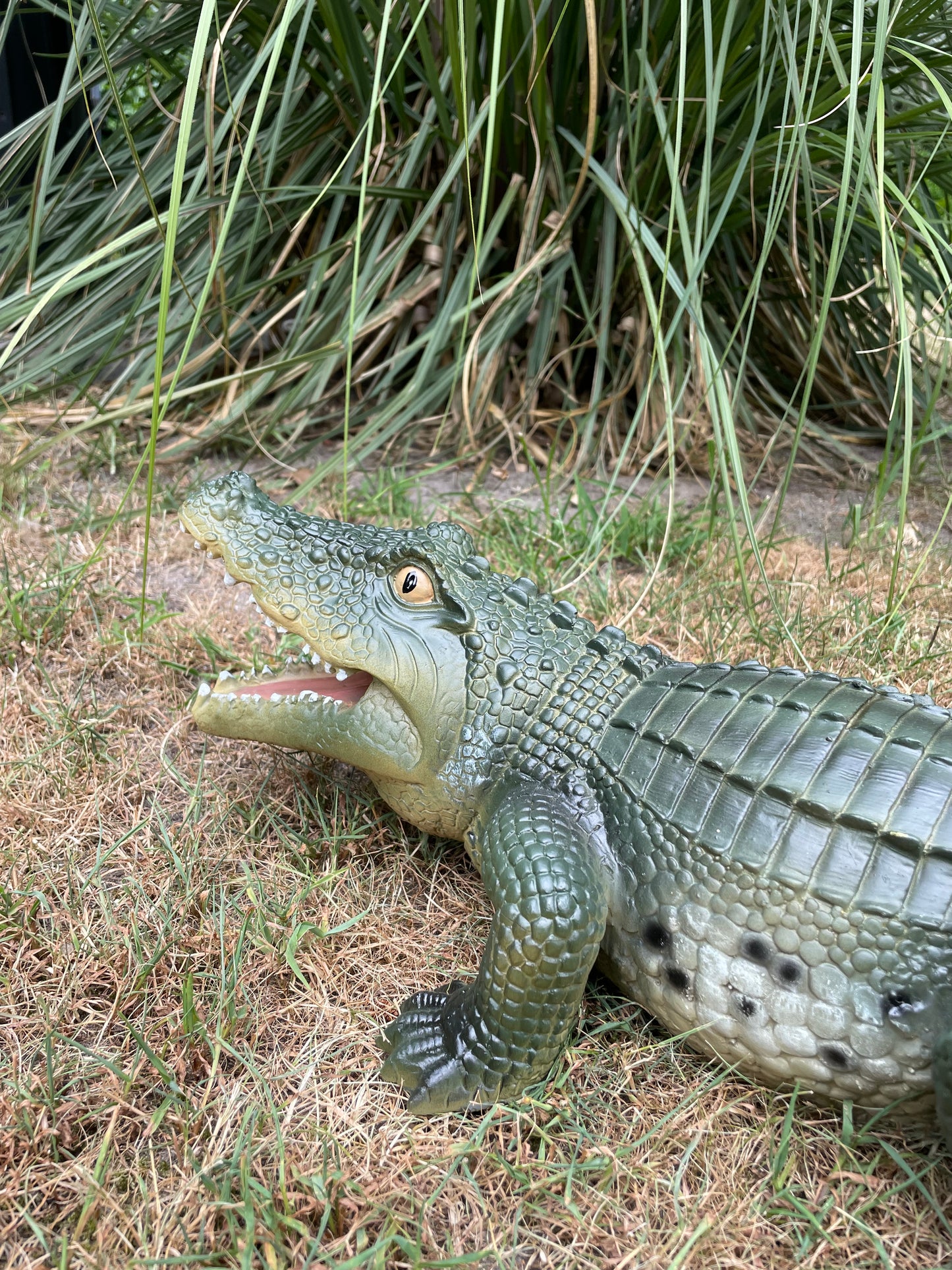 Beeld krokodil tuin, gazon, dierentuin, boerderij 60cm
