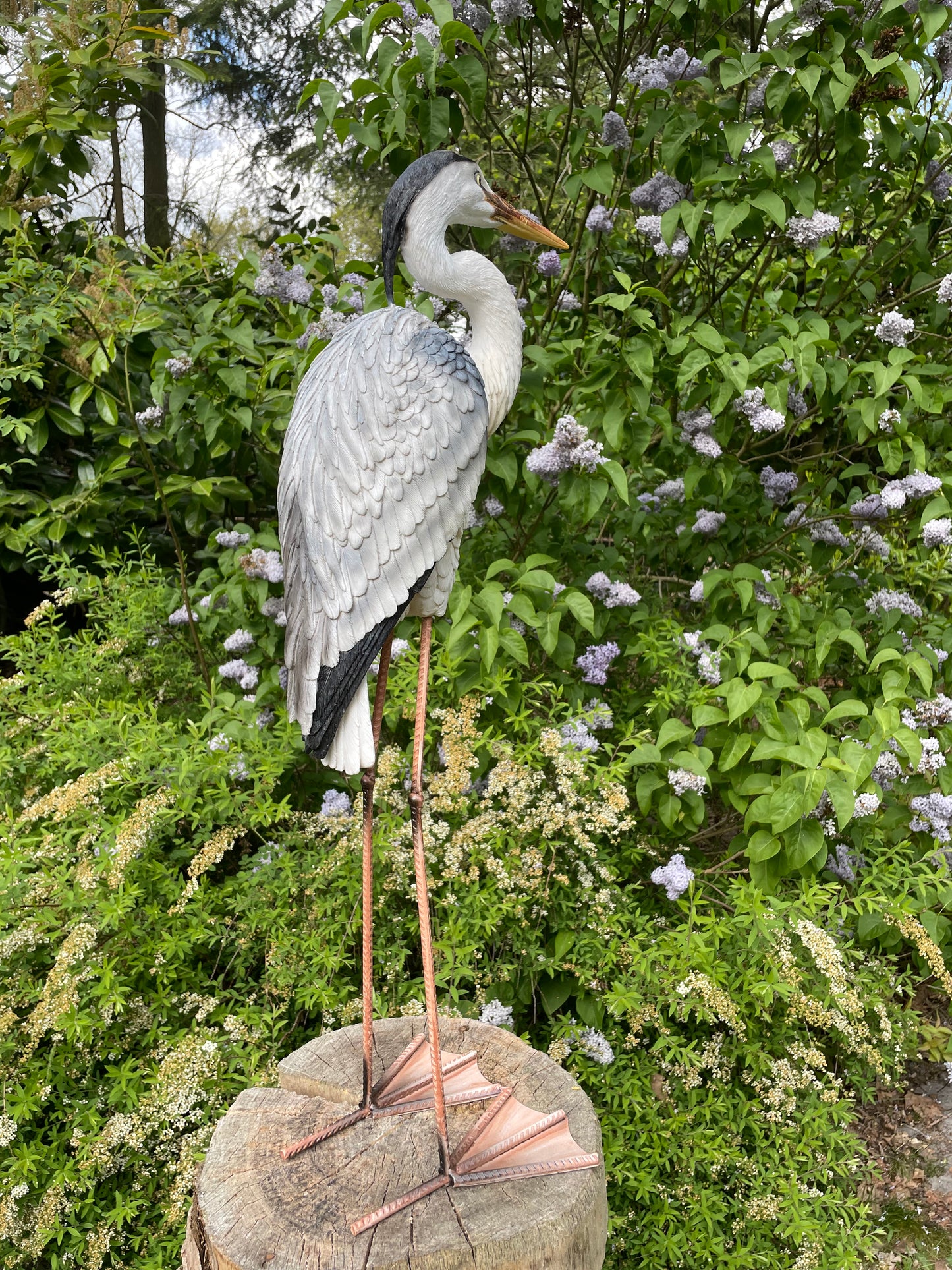 Beeld Reiger, gazon, tuin, vijver, dierentuin 80cm