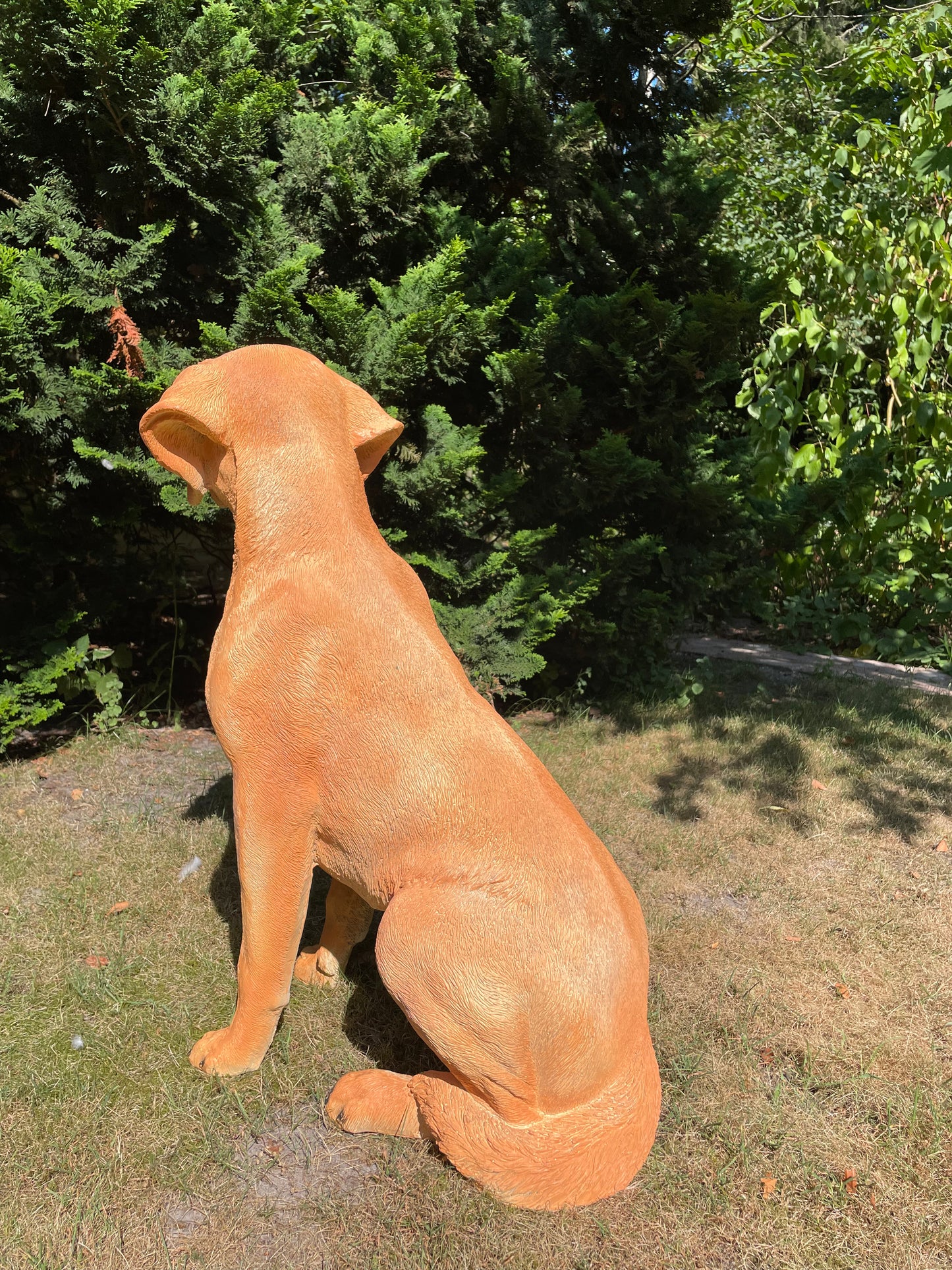 Beeld hond labrador, Golden Retriever donker goud 80cm