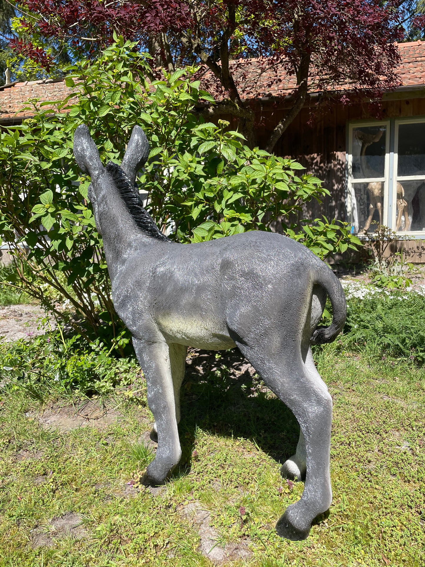 Ezel grijs, tuin, boerderij, vijver, dierentuin 100cm