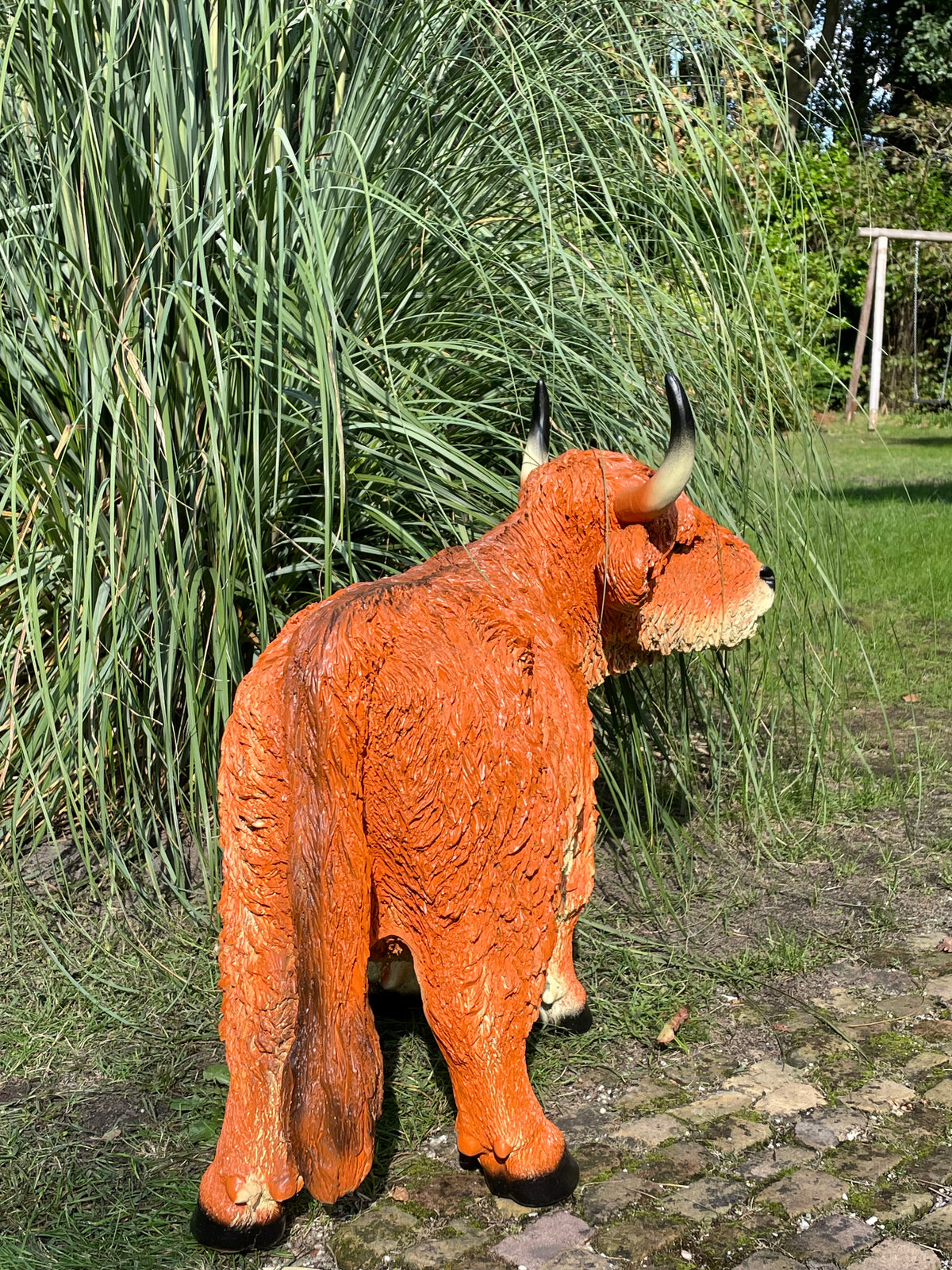 Schotse Hooglander, Rosse koe, tuin, boerderij, 100cm