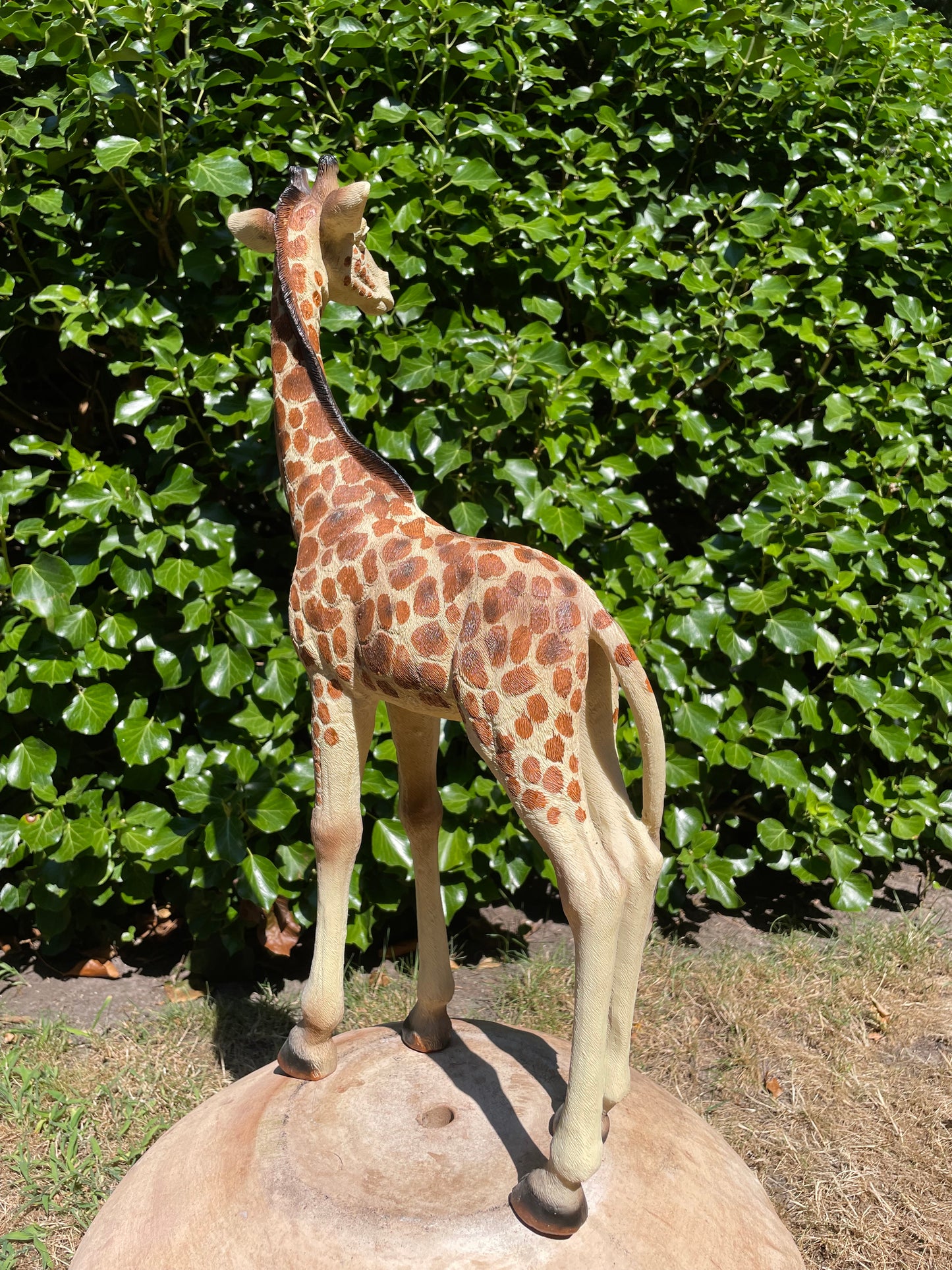 Giraf, staand, tuin, woonkamer, dierentuin 55cm