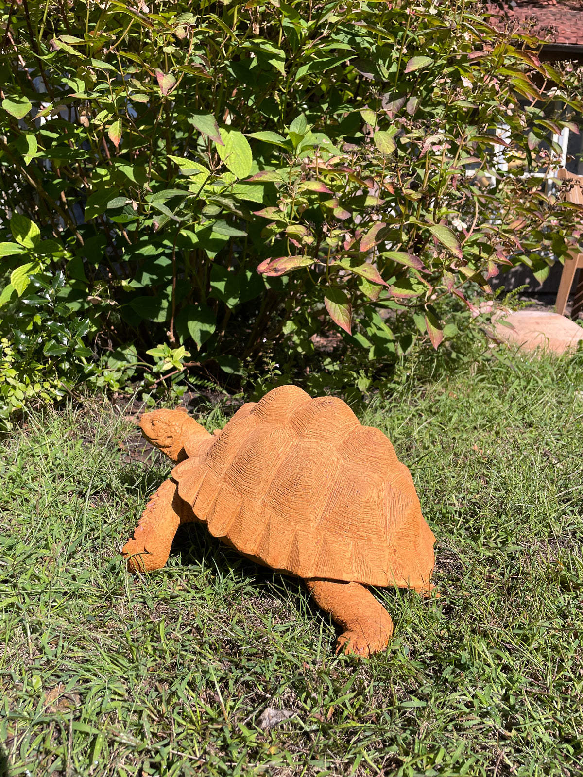 schildpad Roest 40cm