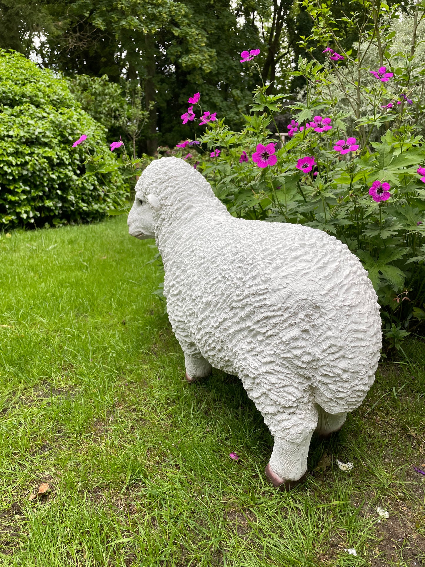 Set Merino wolschapen, gazon, tuin, boerderij 70-65cm