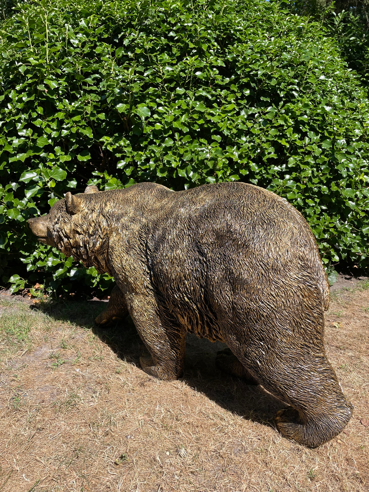 Grizzlybeer lopend brons, vijver, gazon, dierentuin, 110cm